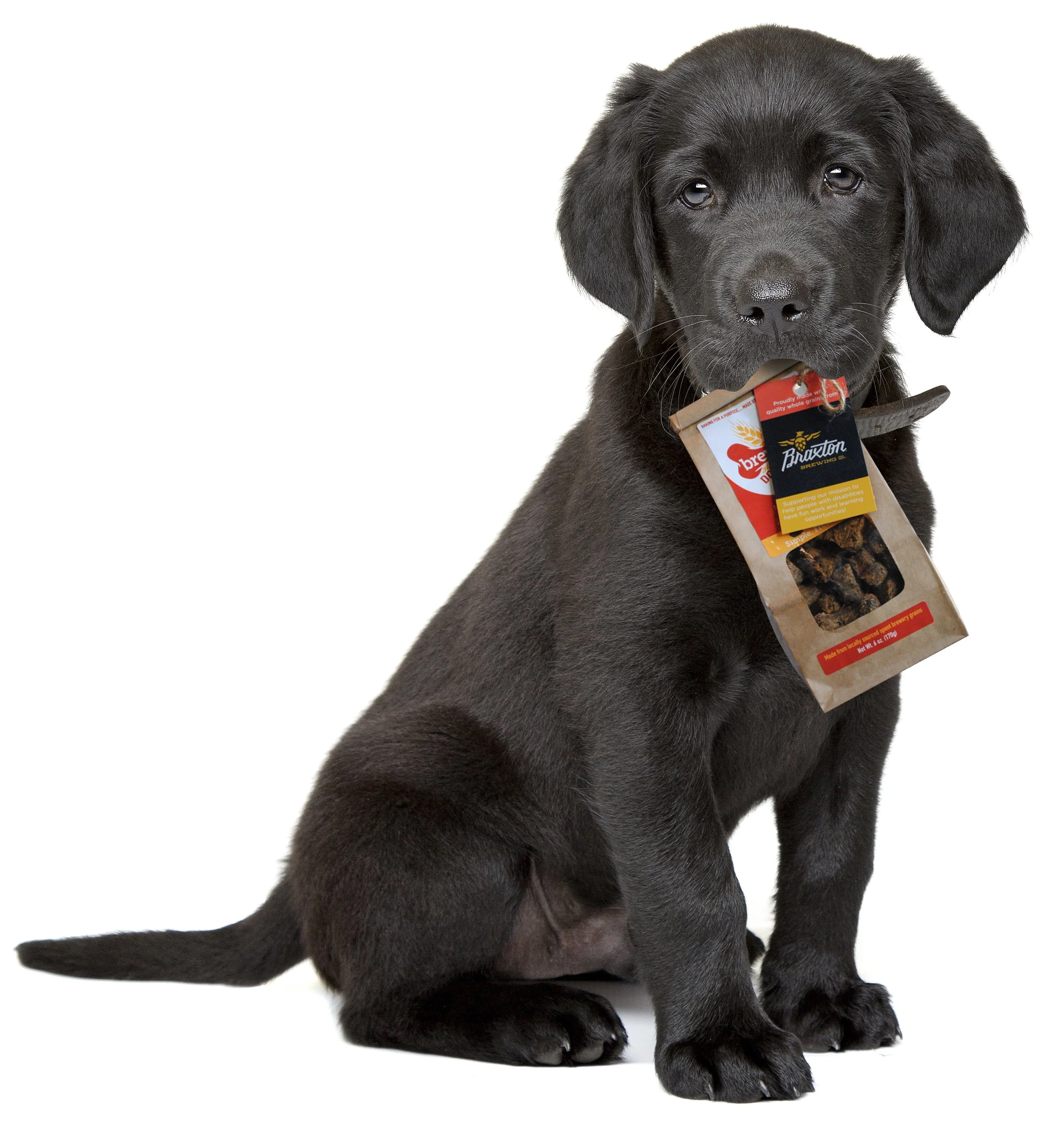 BrewhausDogBones1.jpg
