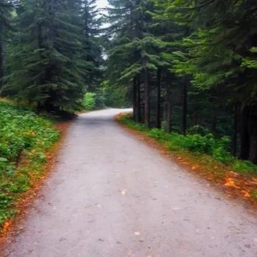 The Space Between Reaction and Response: Why the pause is where your healing actually lives