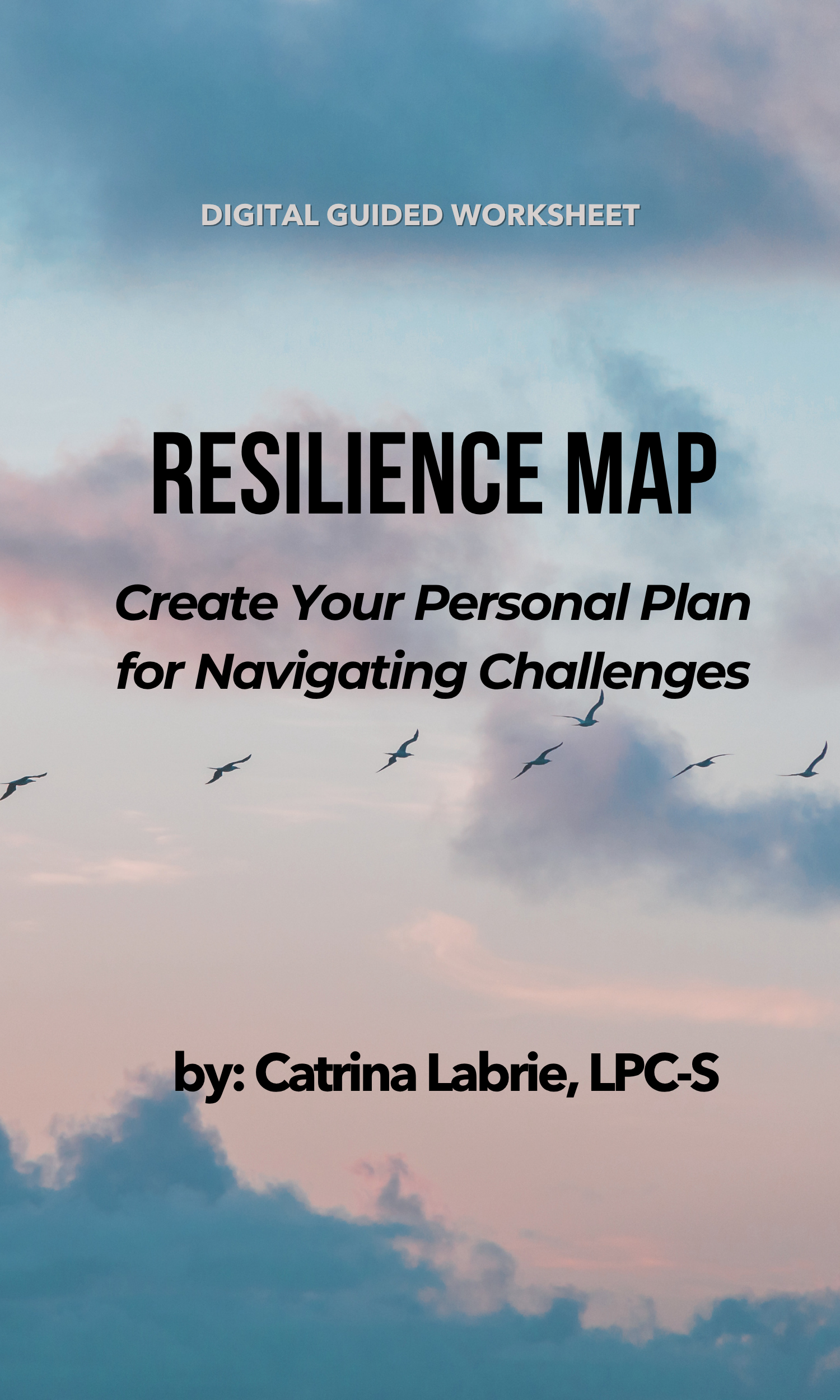 1Resilience Map (1500 x 2500 px).png