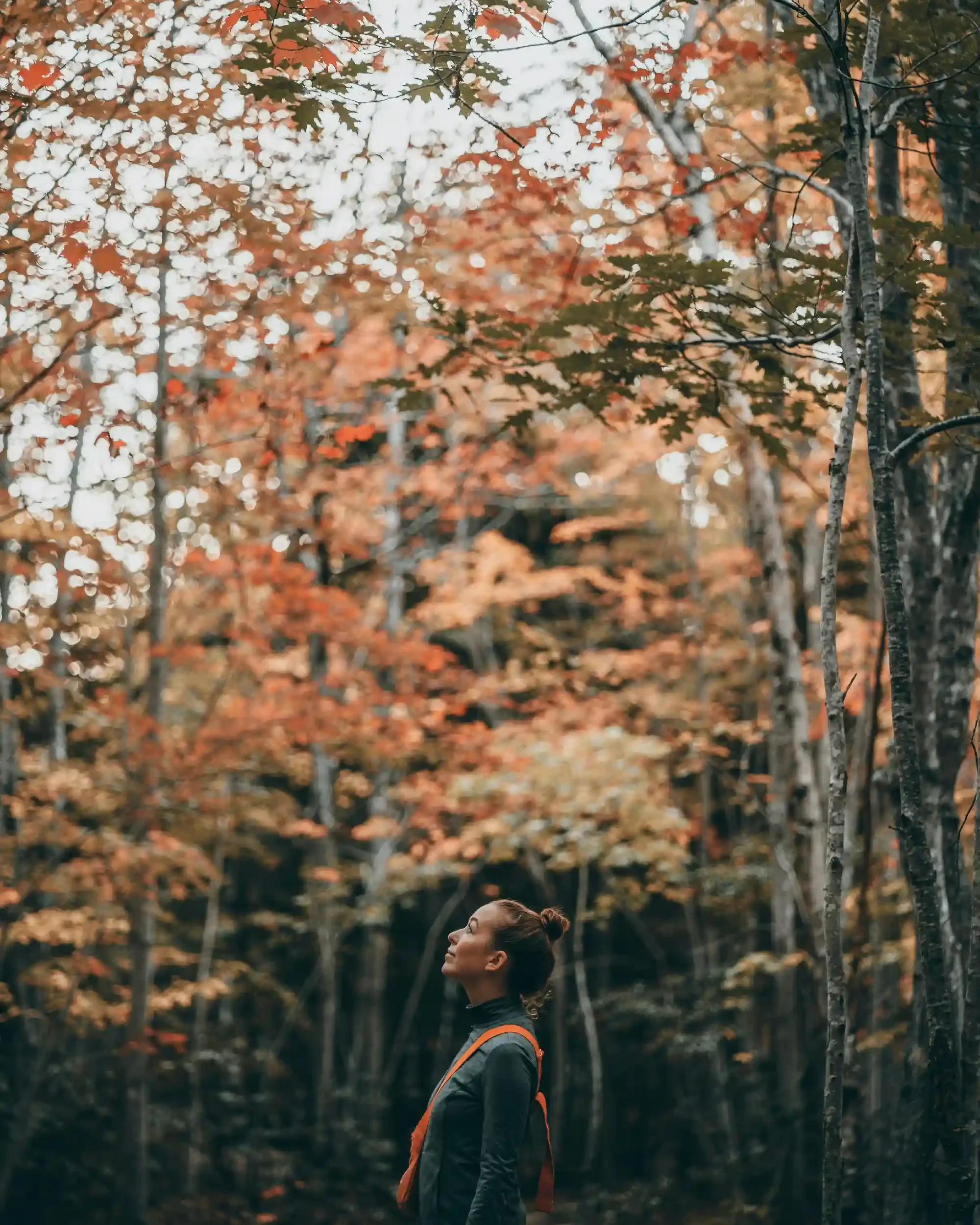 A woman with a backpack standing in a forest with colorful autumn leaves.
