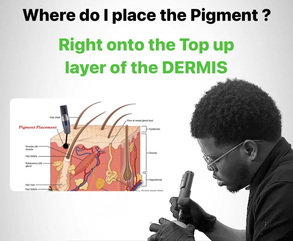 Fomation micropigmentation capillaire