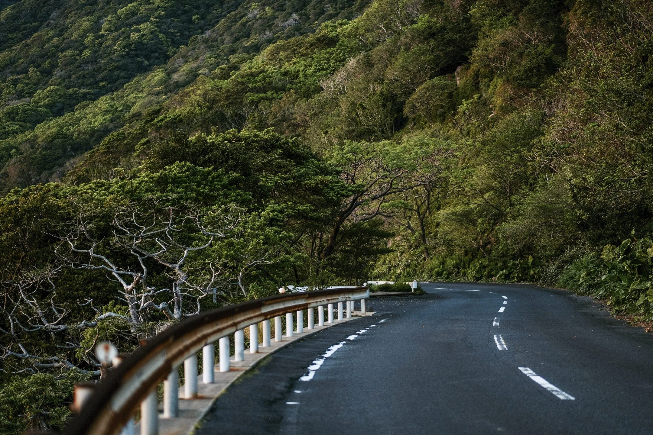 Japan_Travel_2019-13.jpg
