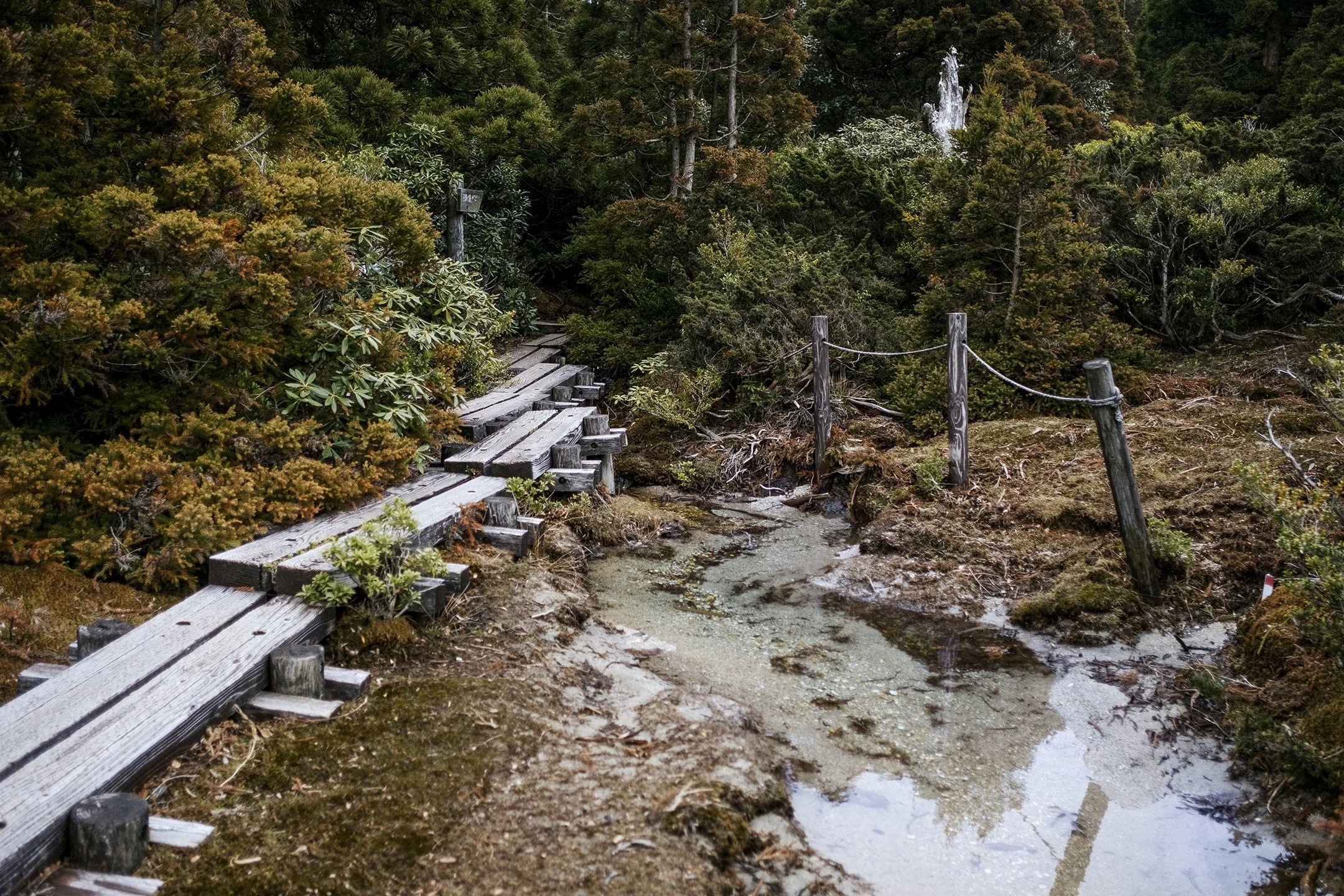 Japan_Travel_2019-31.jpg