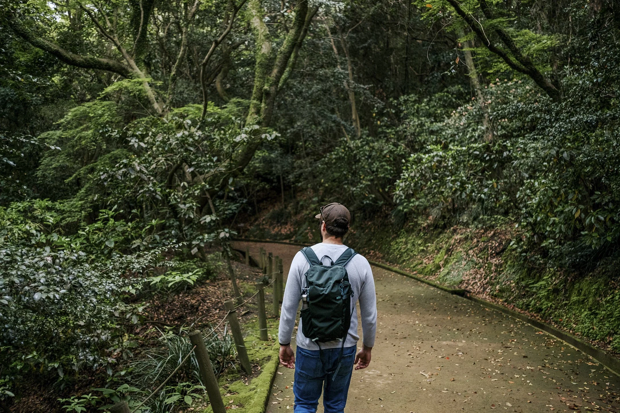 Japan_Travel_2019-1.jpg