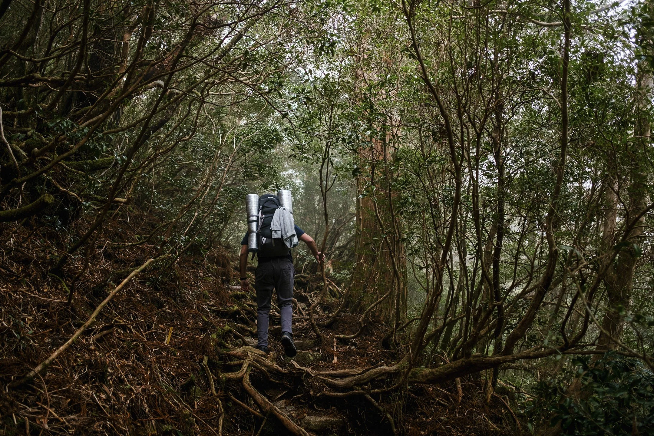 Japan_Travel_2019-18.jpg
