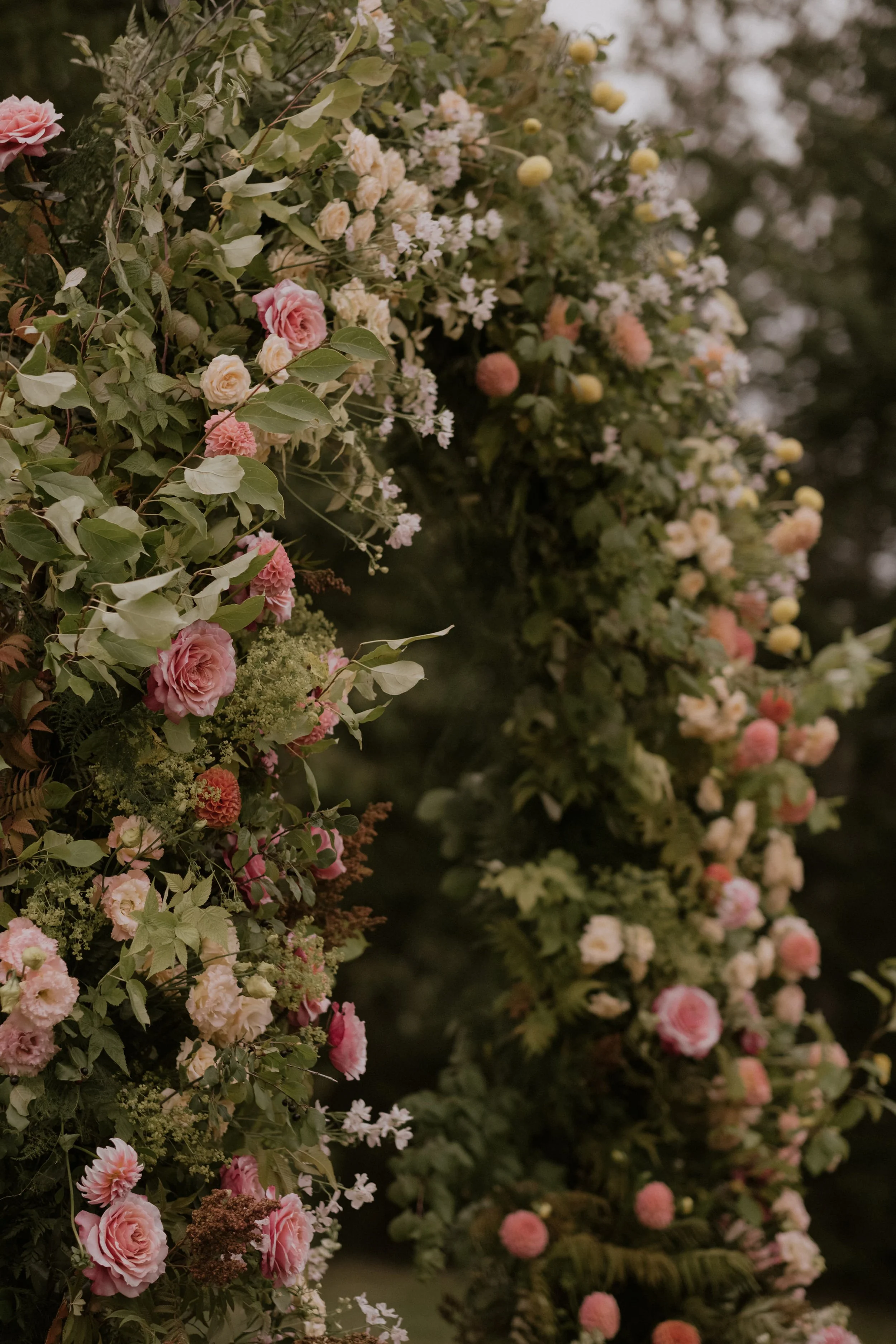 Laurel-Raphael-Wedding-2026-201.jpg