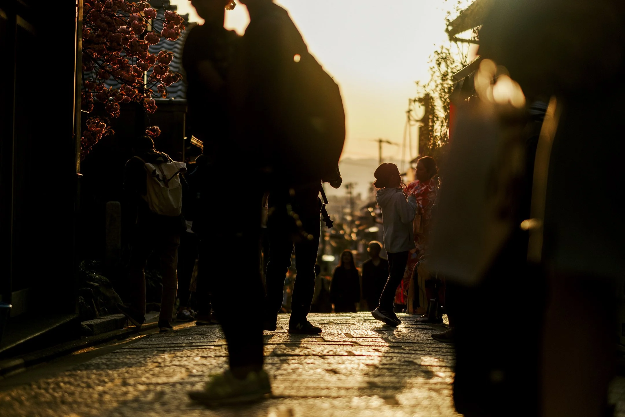 Japan_Travel_2019-61.jpg