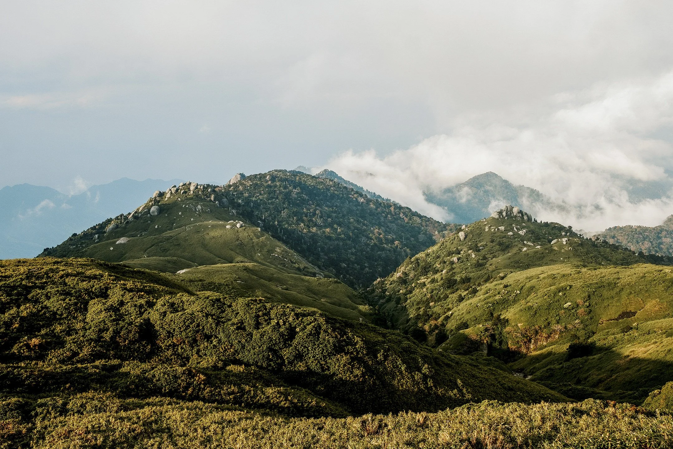 Japan_Travel_2019-38.jpg