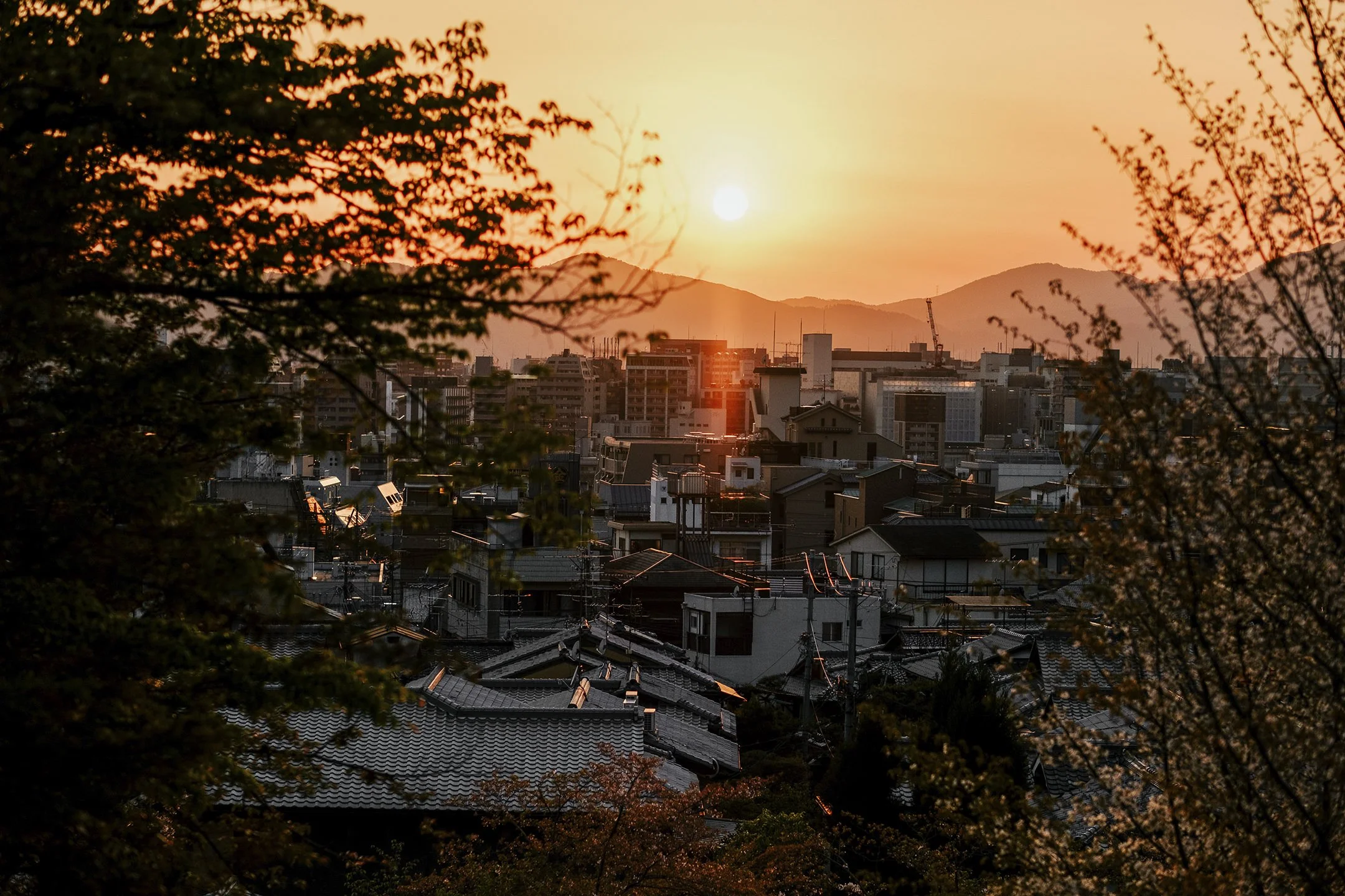 Japan_Travel_2019-66.jpg