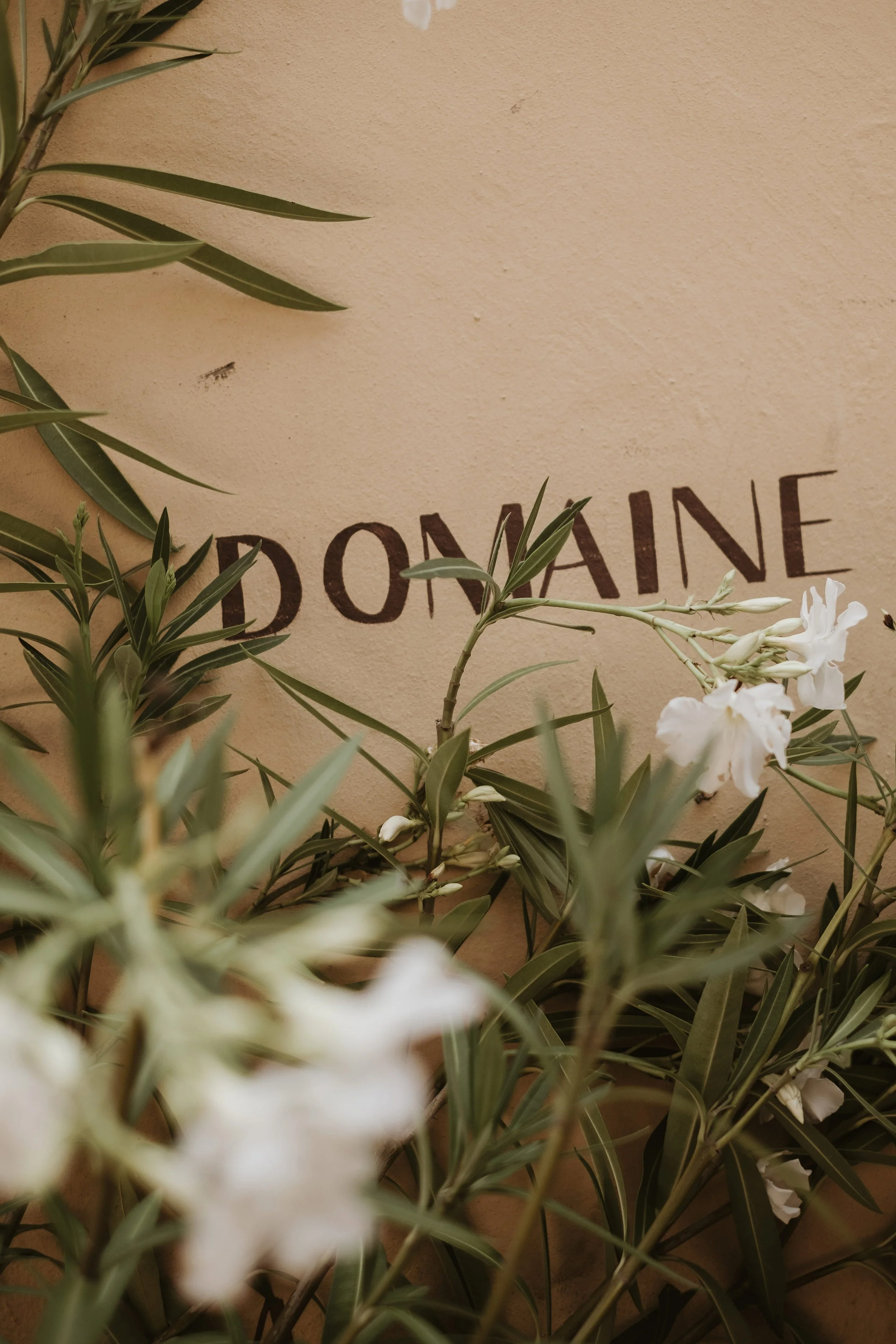 Provence-trip-2023-31.jpg
