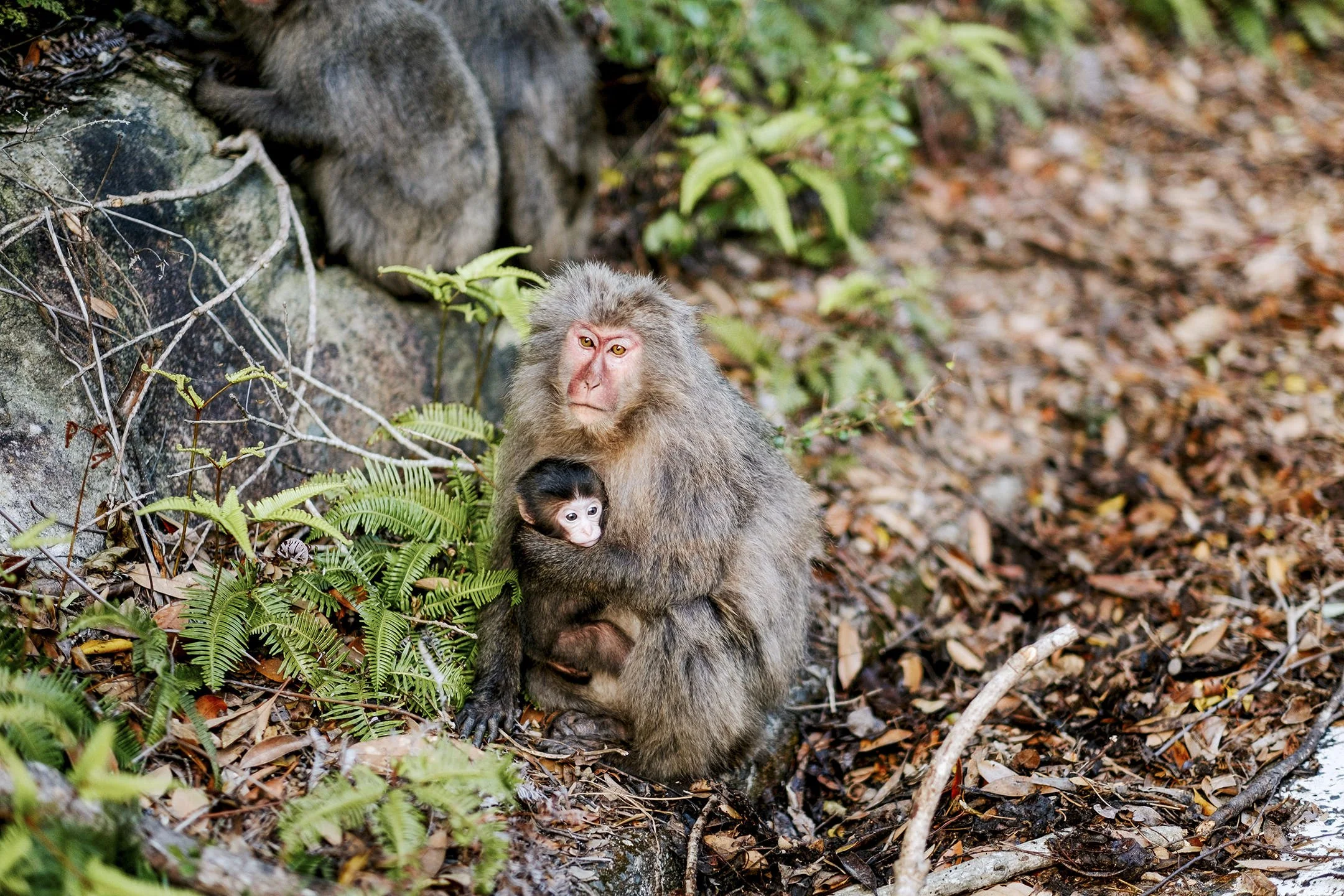 Japan_Travel_2019-8.jpg