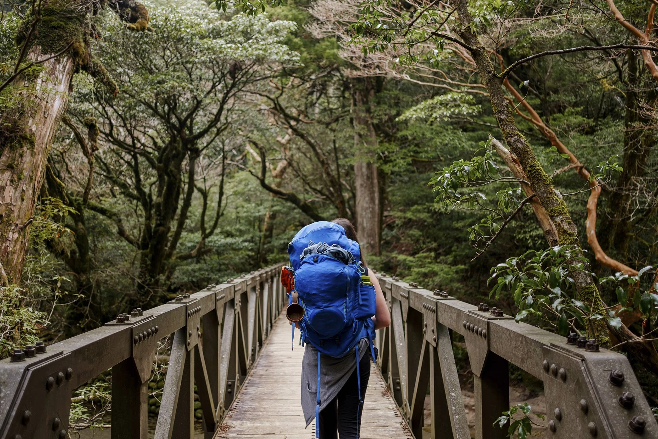 Japan_Travel_2019-16.jpg