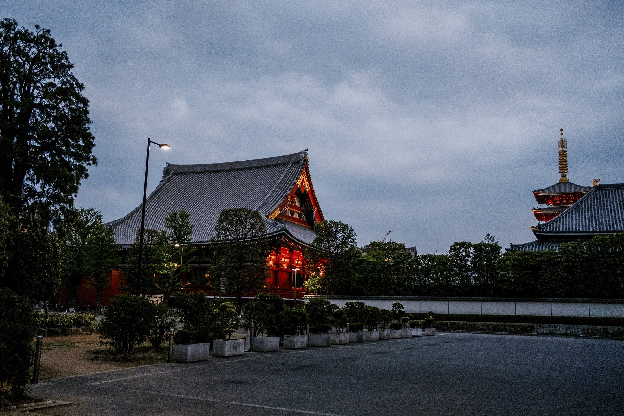 Japan_Travel_2019-73.jpg