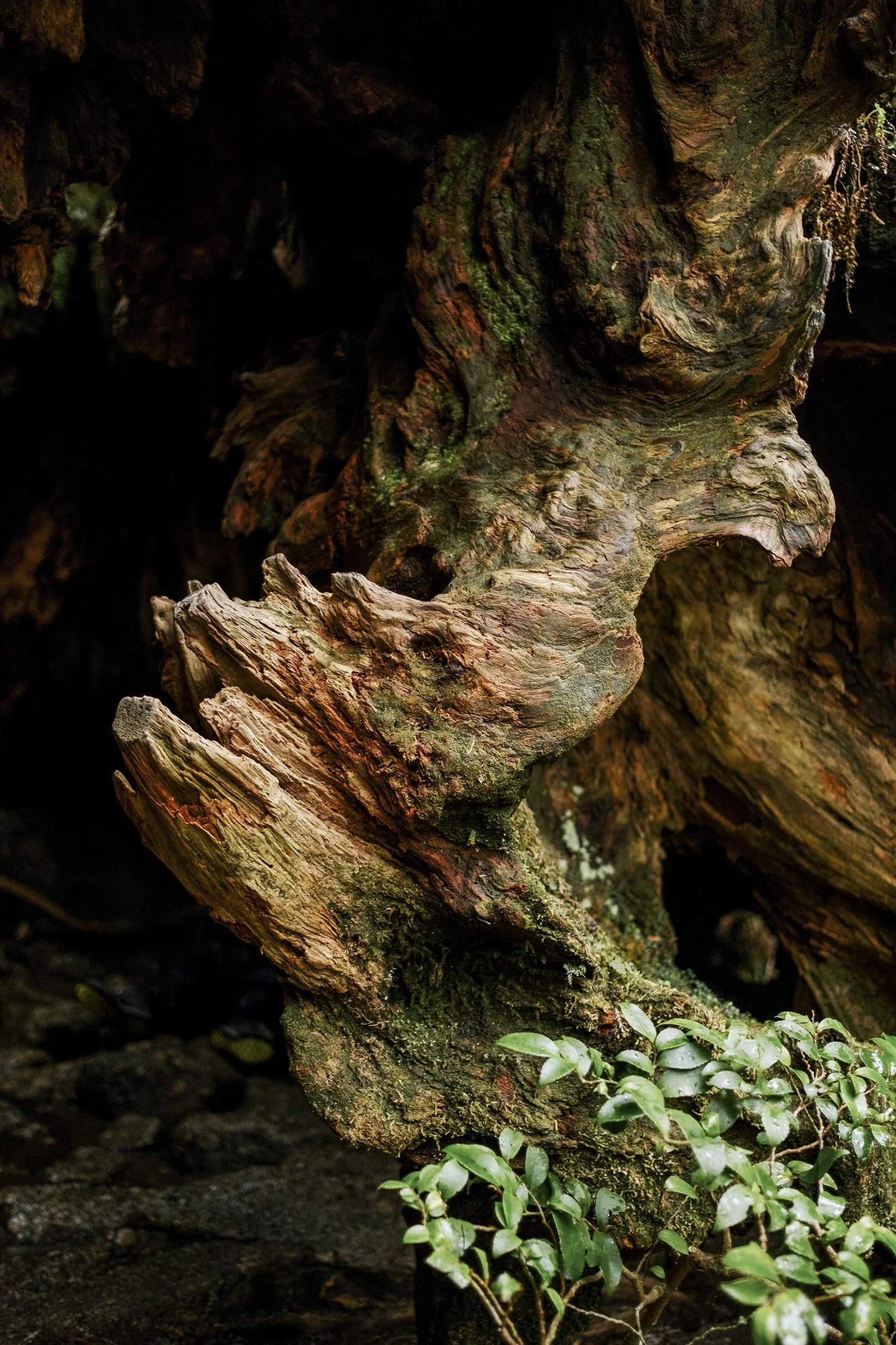 Japan_Travel_2019-44.jpg