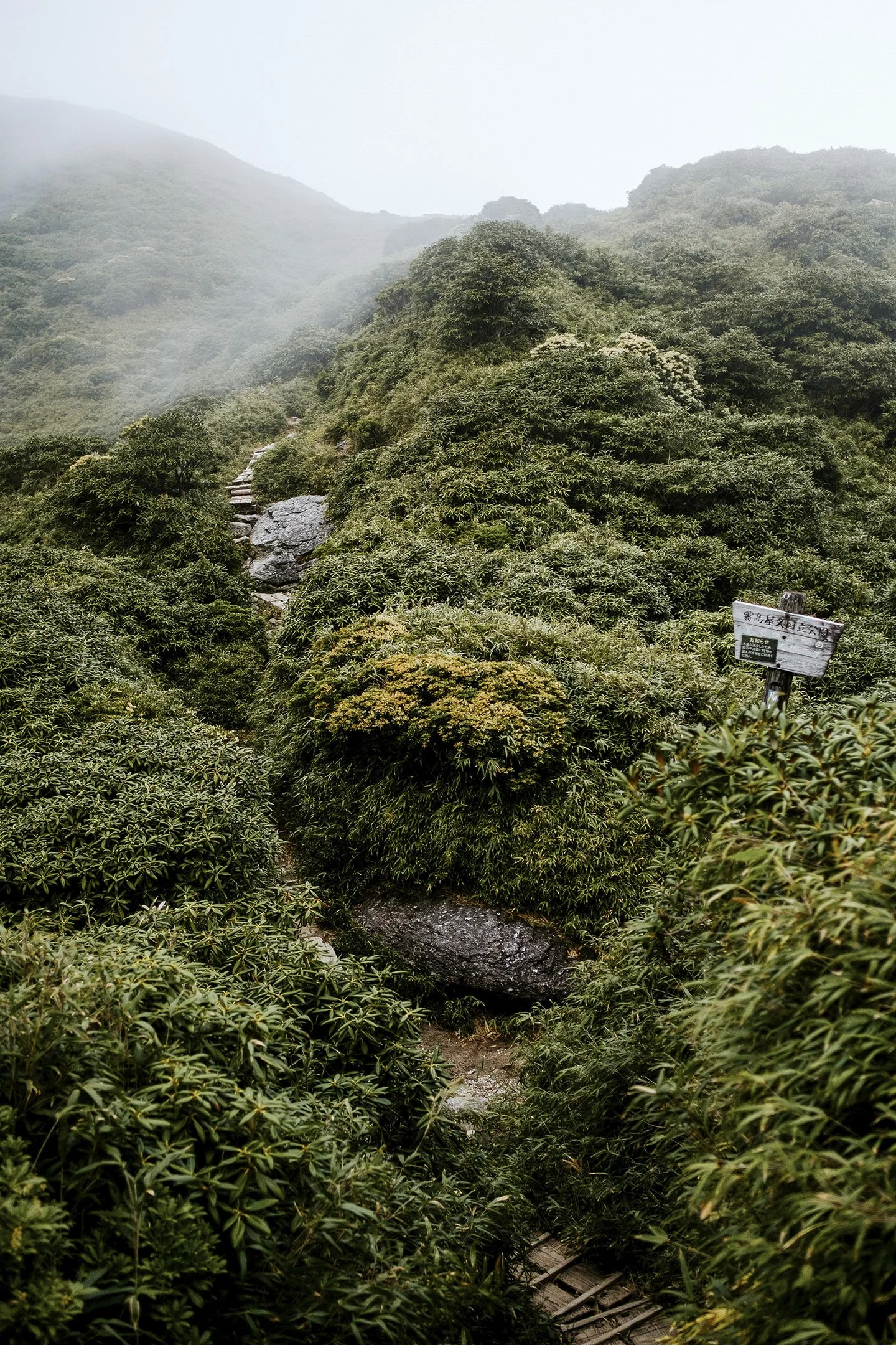 Japan_Travel_2019-34.jpg