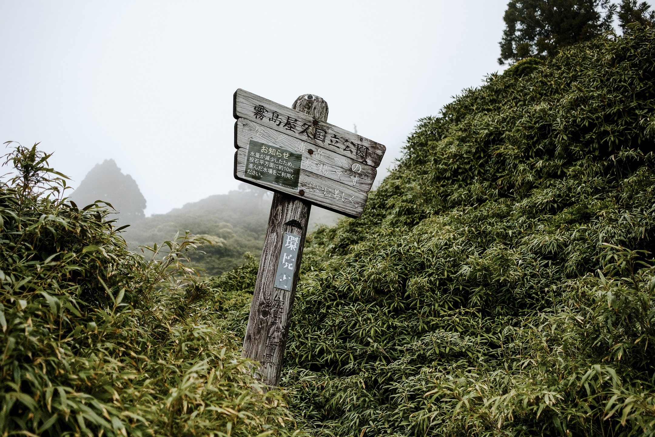 Japan_Travel_2019-35.jpg