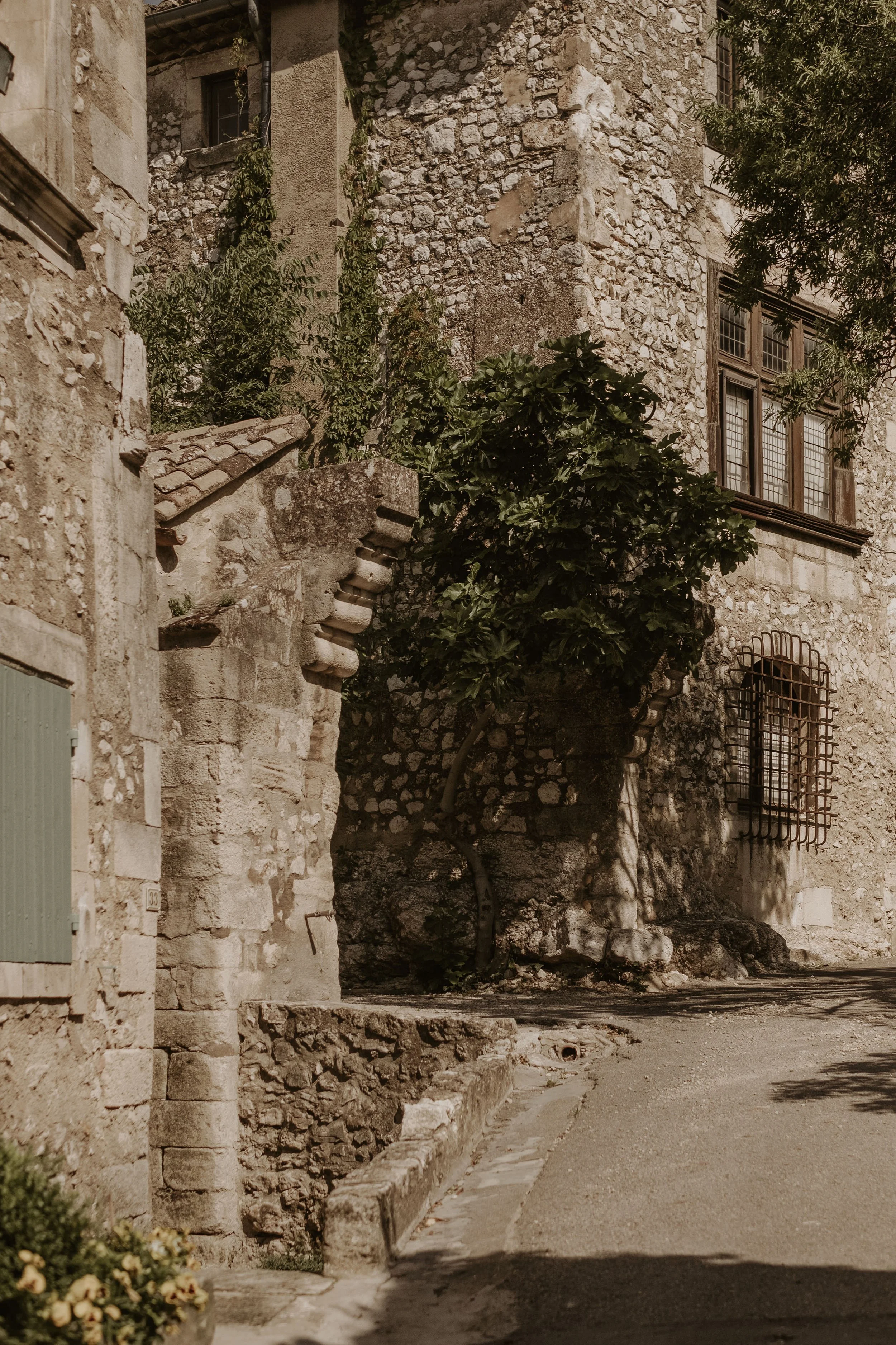 Provence-trip-2023-24.jpg