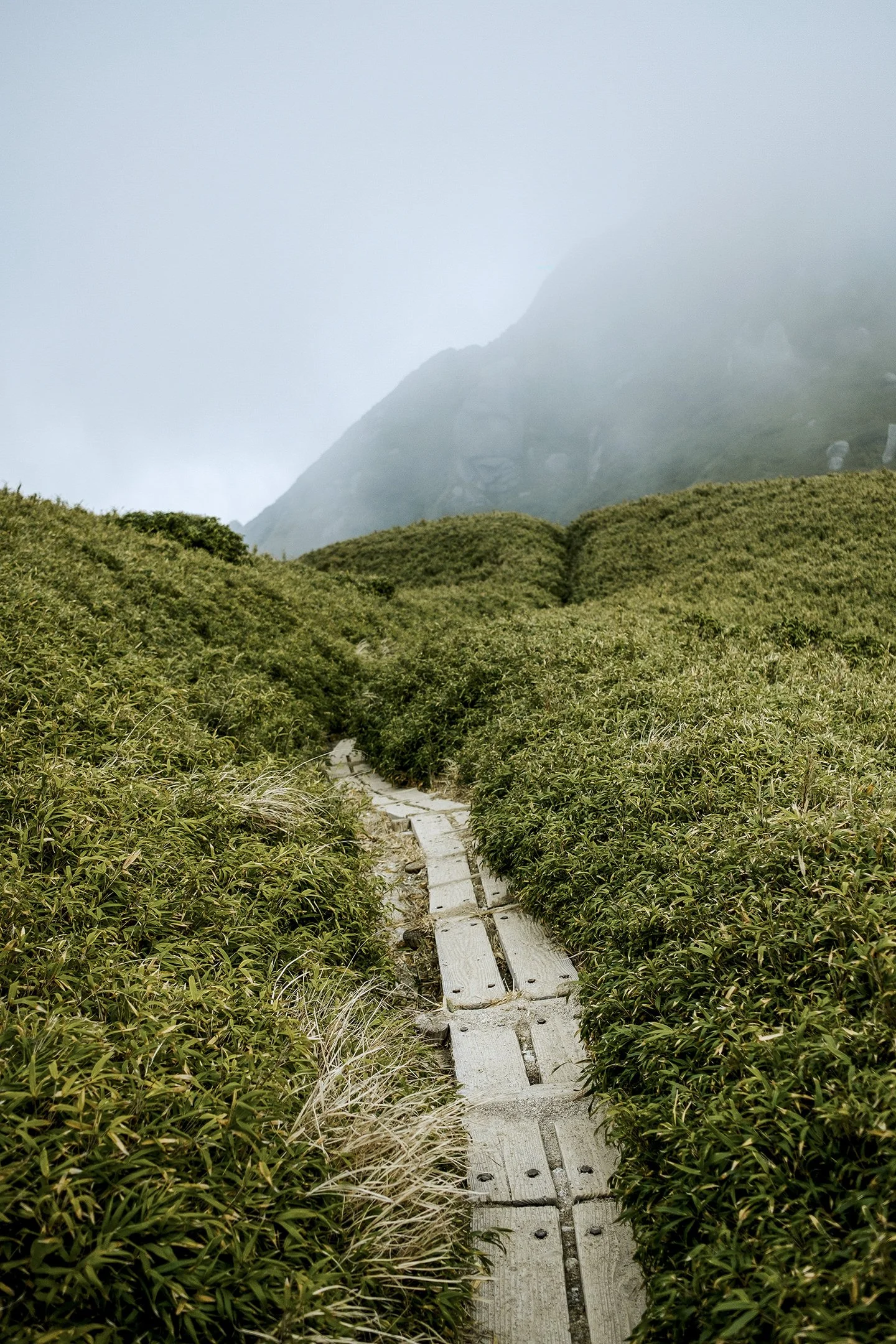 Japan_Travel_2019-36.jpg