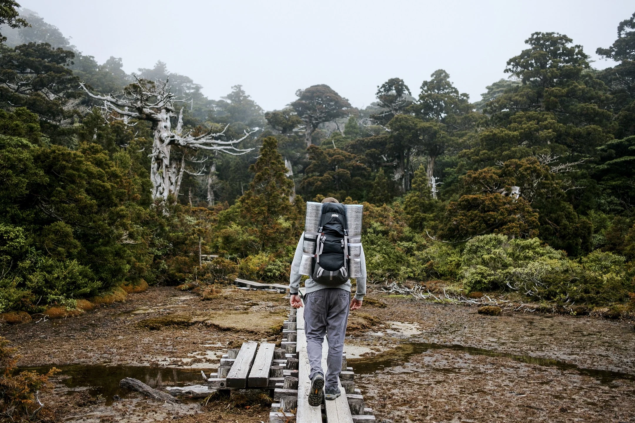 Japan_Travel_2019-30.jpg