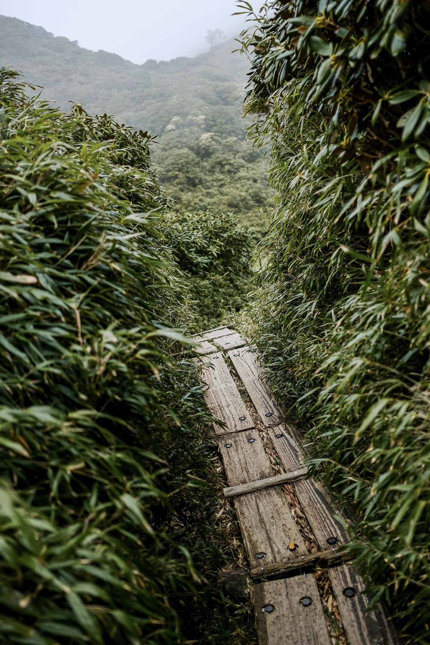 Japan_Travel_2019-33.jpg