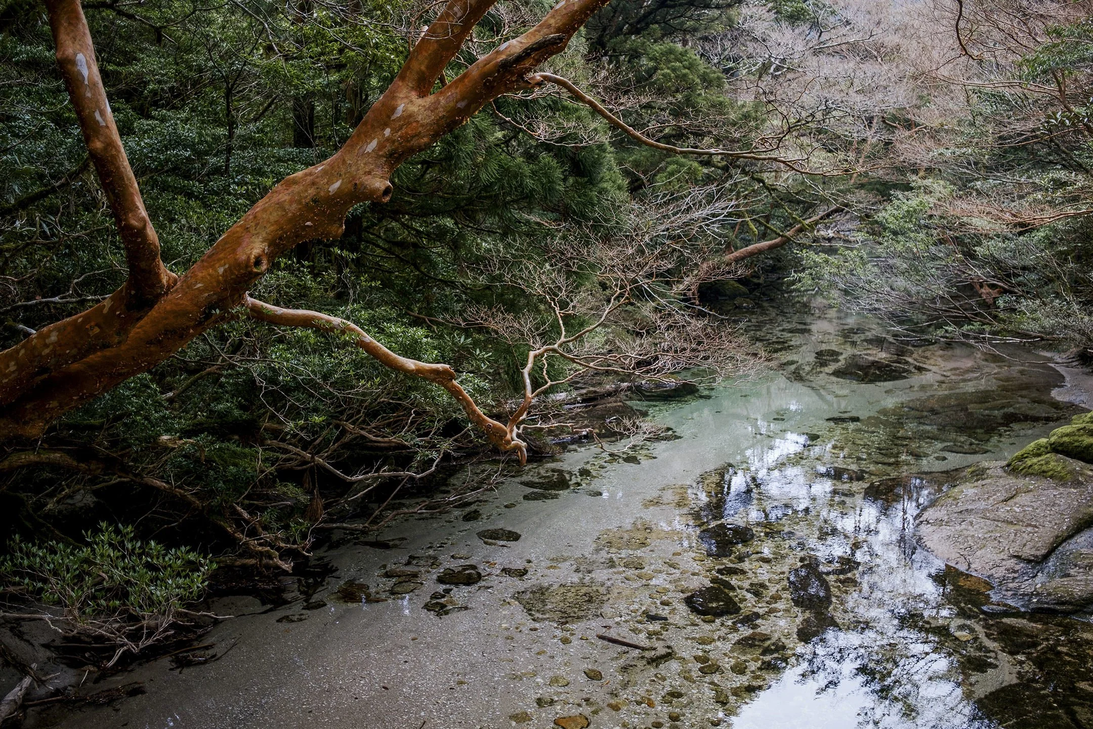 Japan_Travel_2019-17.jpg