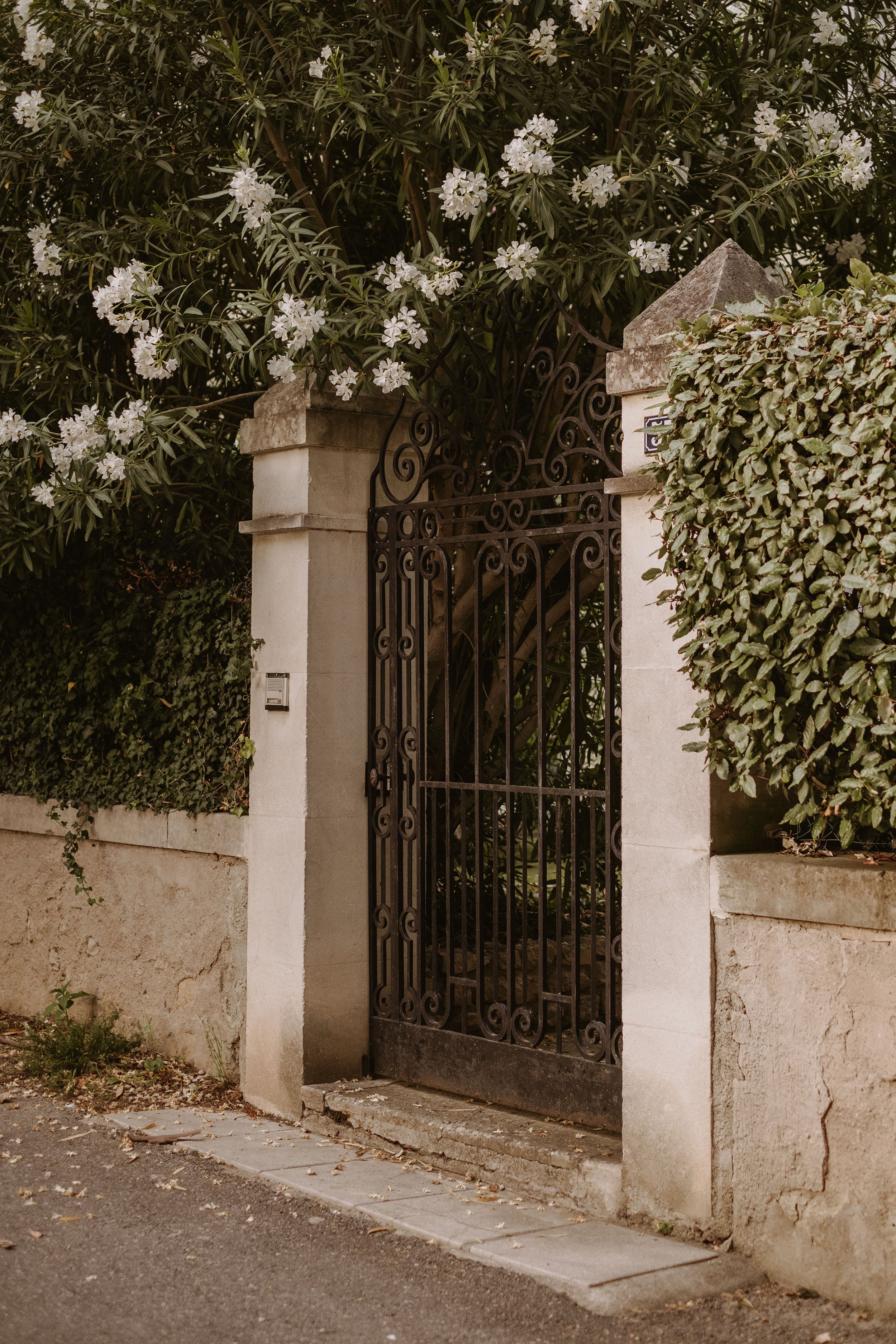 Provence-trip-2023-42.jpg