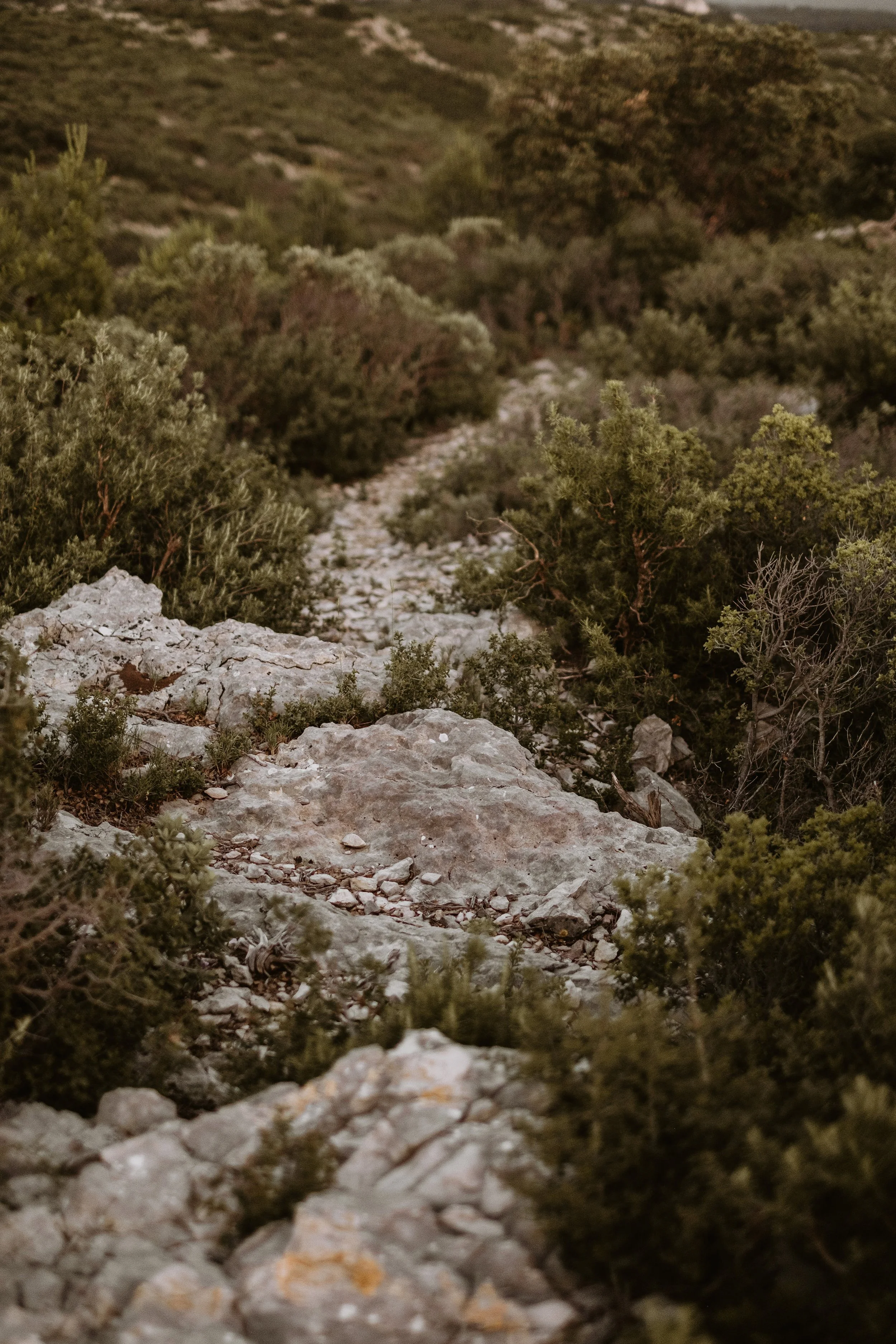 Provence-trip-2023-21.jpg