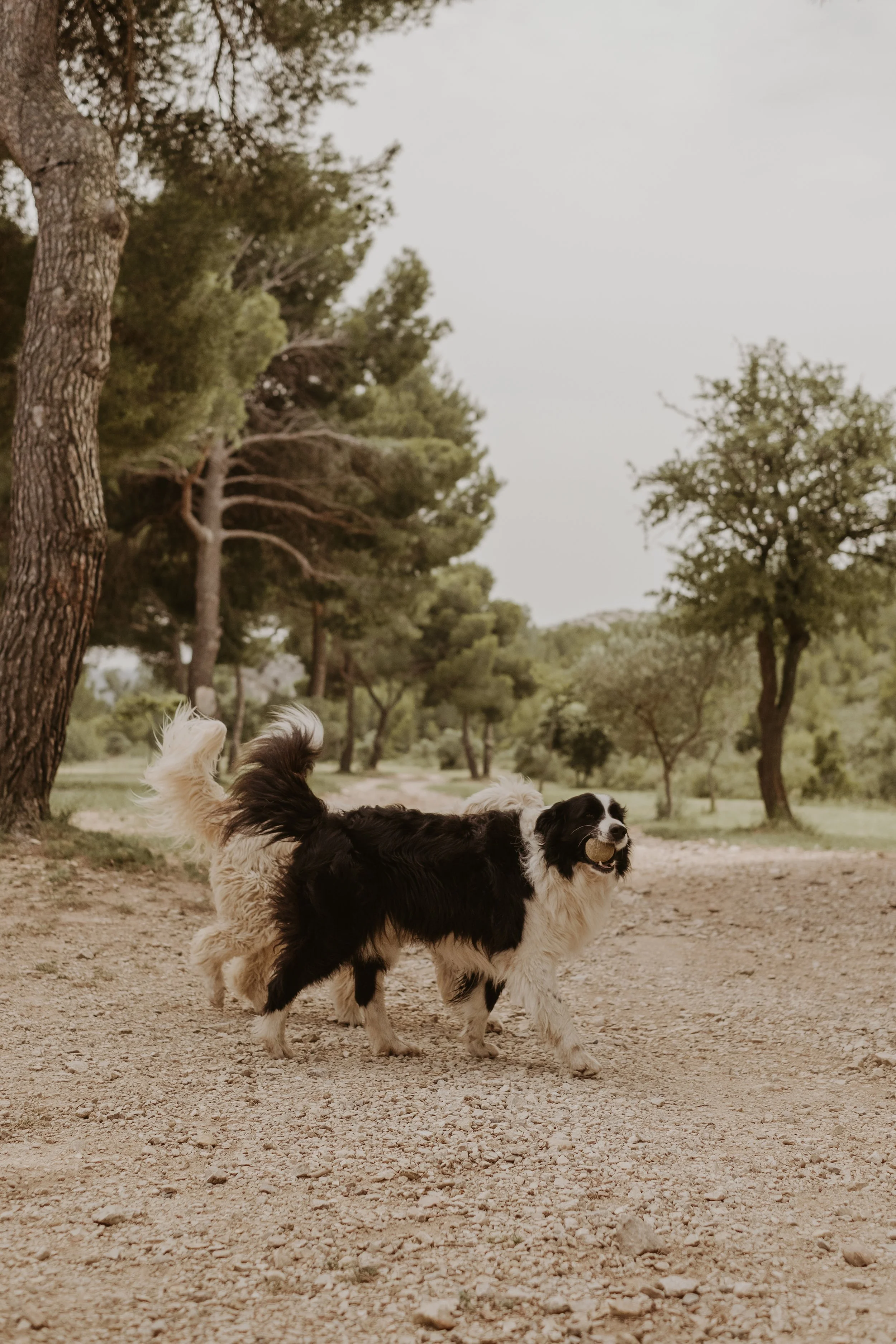 Provence-trip-2023-53.jpg