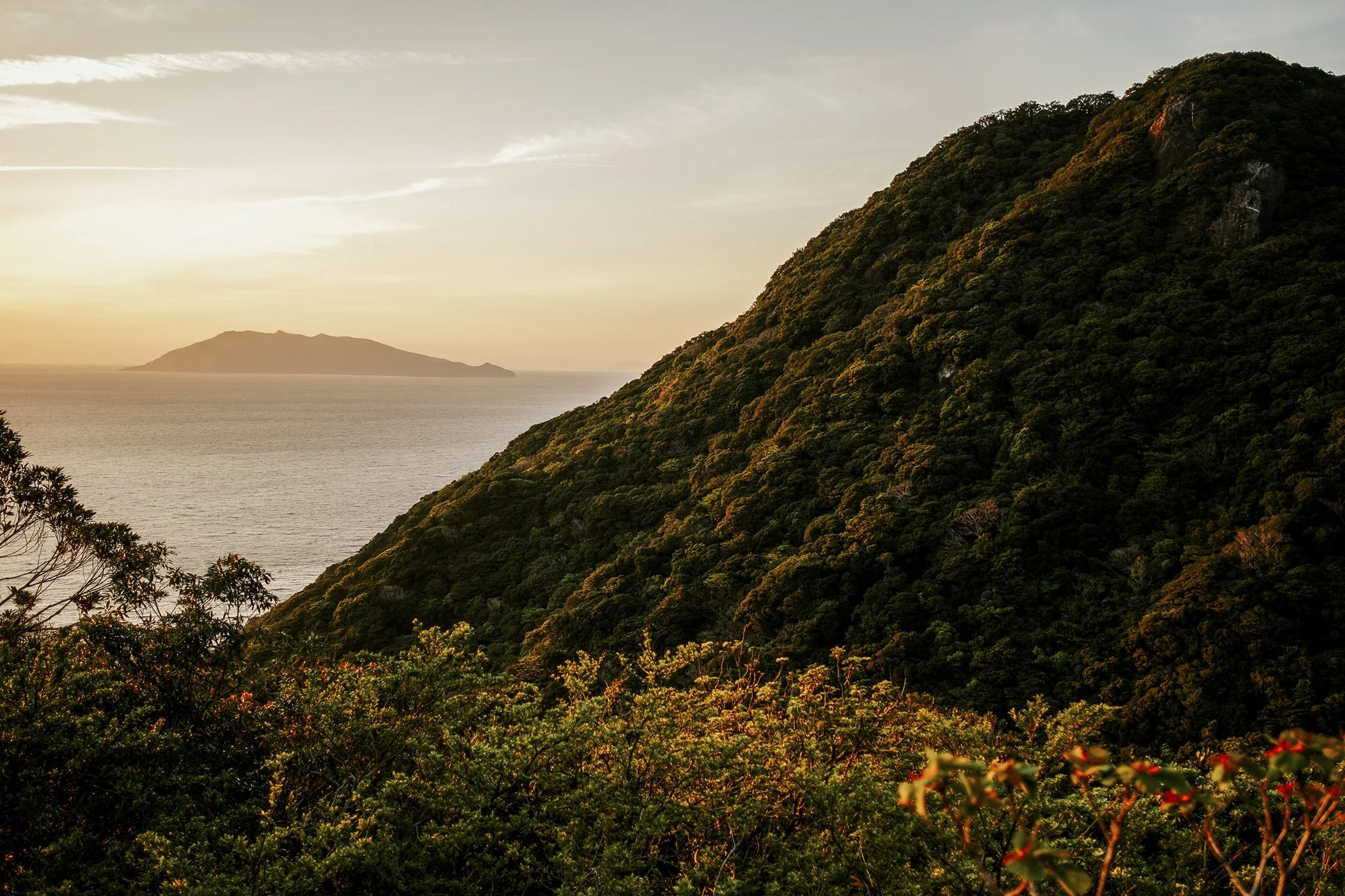 Japan_Travel_2019-12.jpg