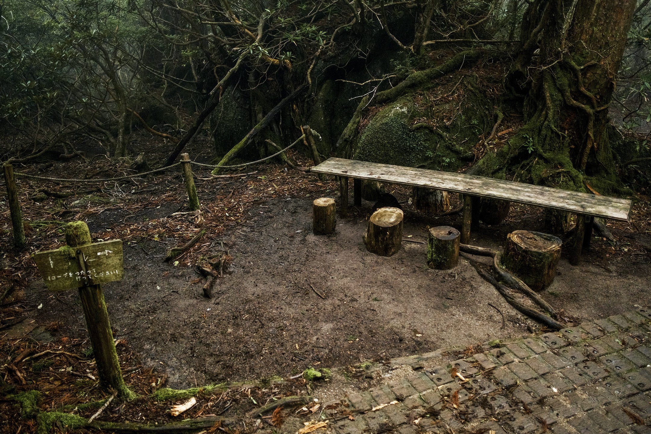 Japan_Travel_2019-40.jpg