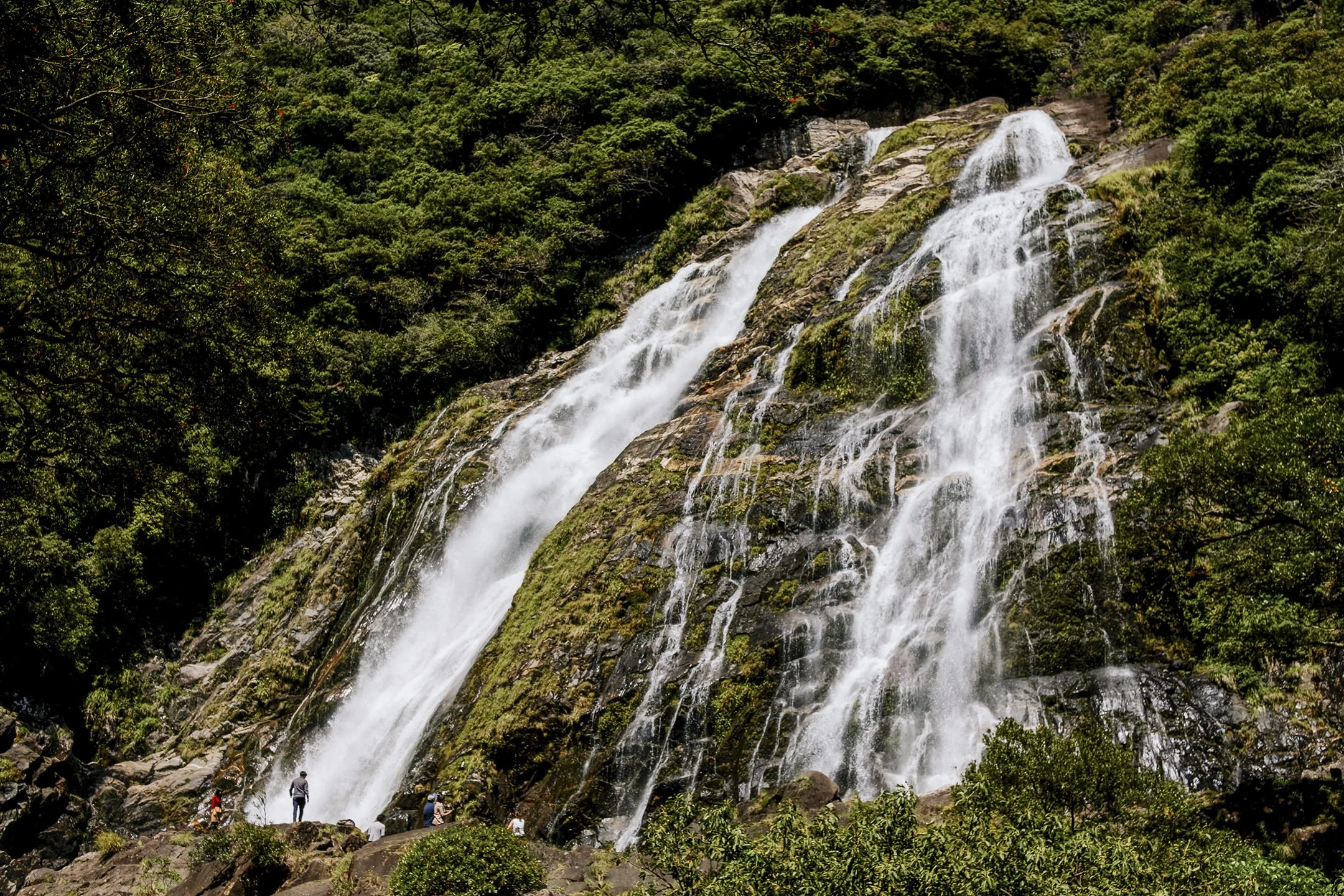 Japan_Travel_2019-46.jpg