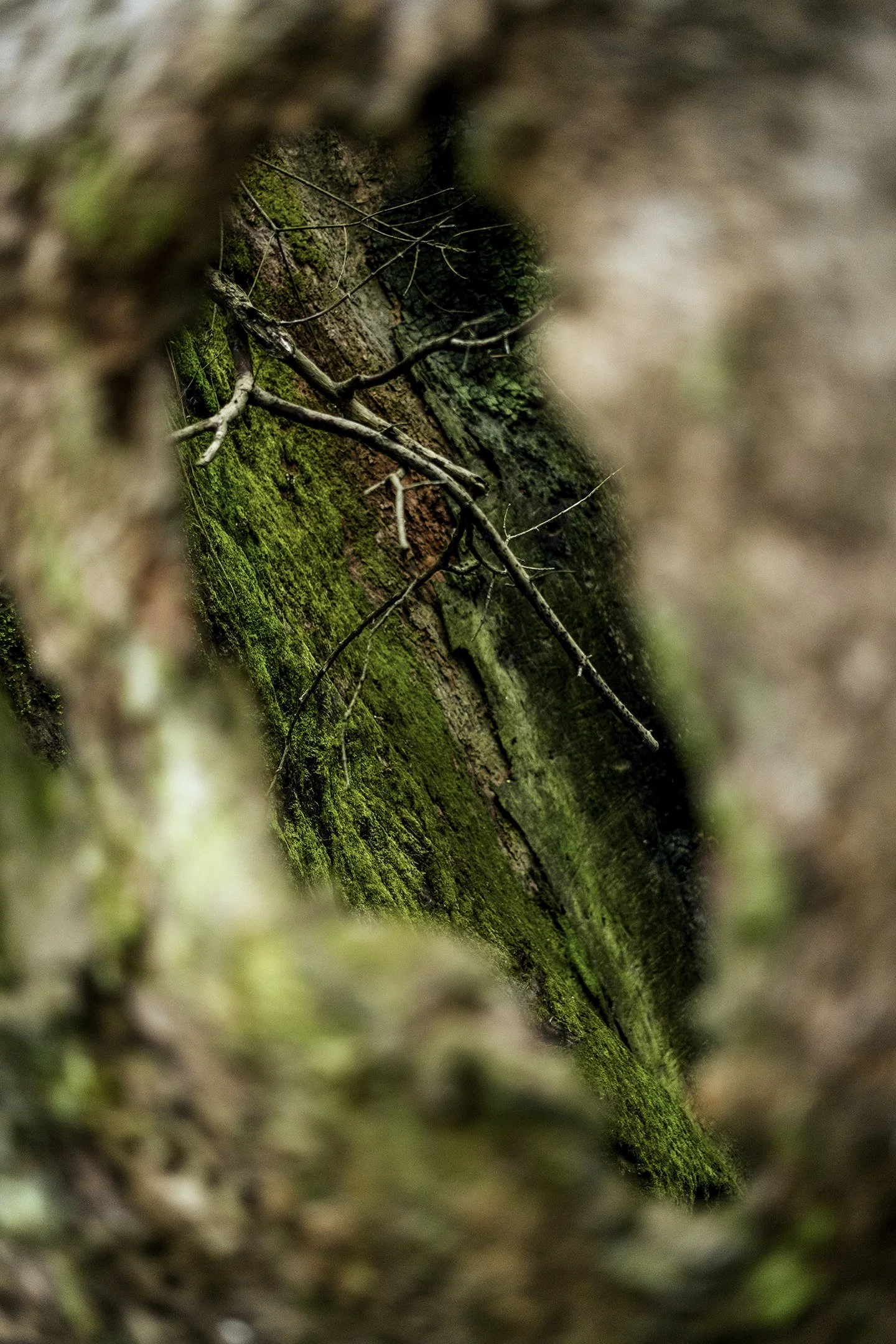 Japan_Travel_2019-3.jpg