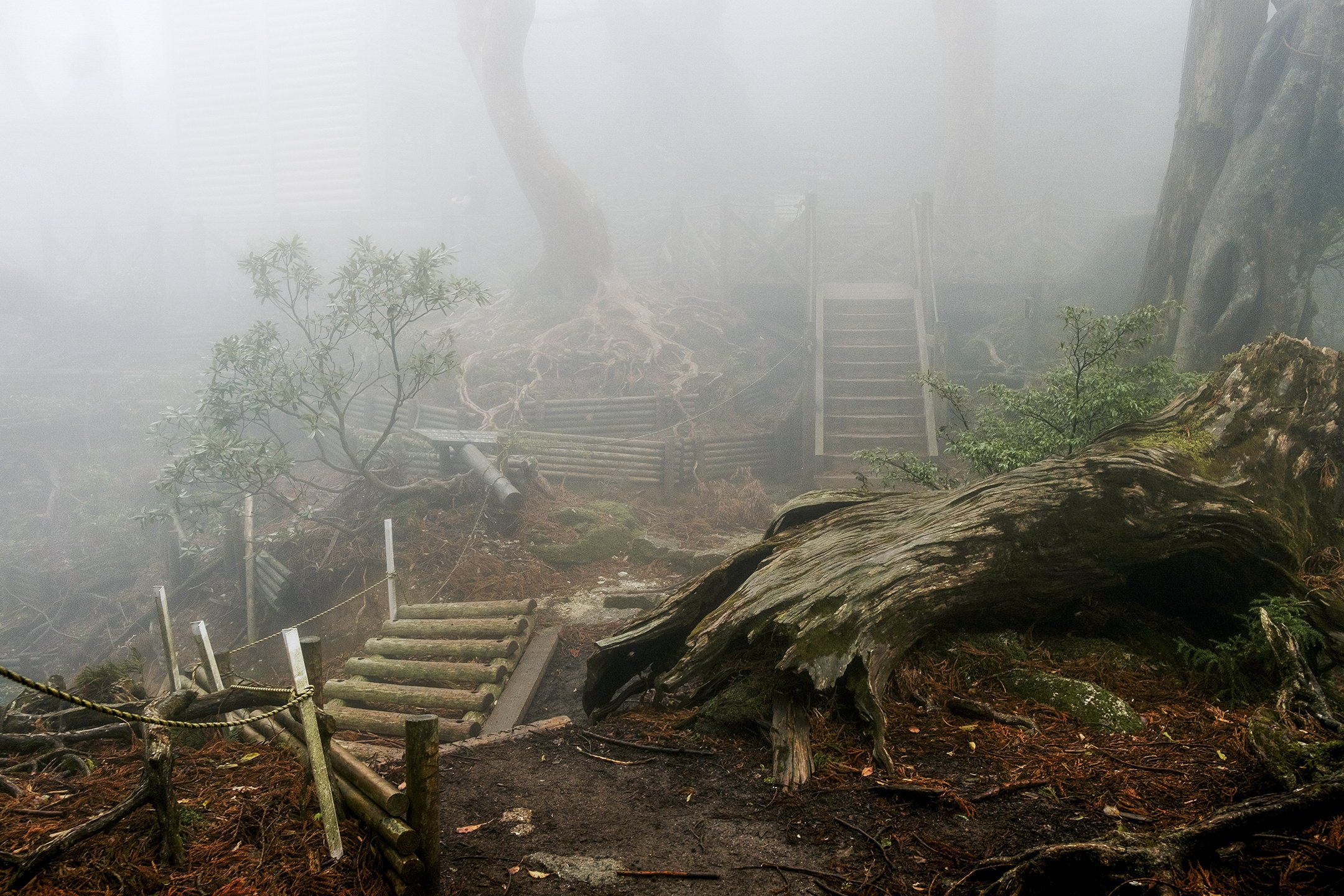Japan_Travel_2019-41.jpg