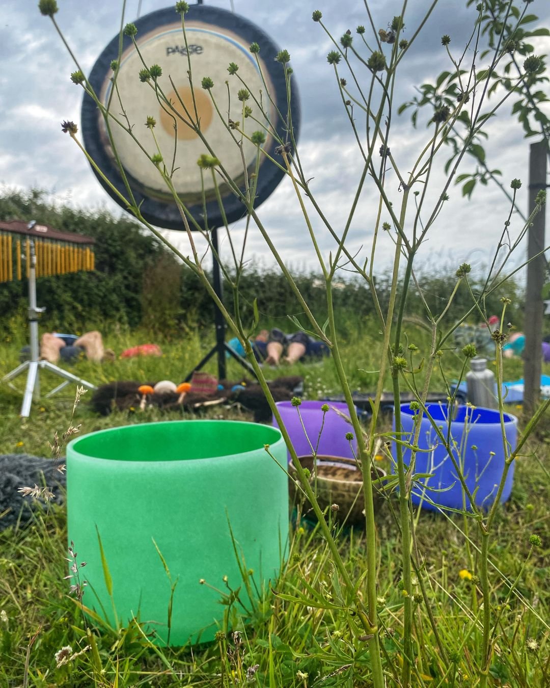 Colorful cups placed on grass with a grass field, trees, and people lying down in the background. A mirror with the word 'peace' reflects the cloudy sky.