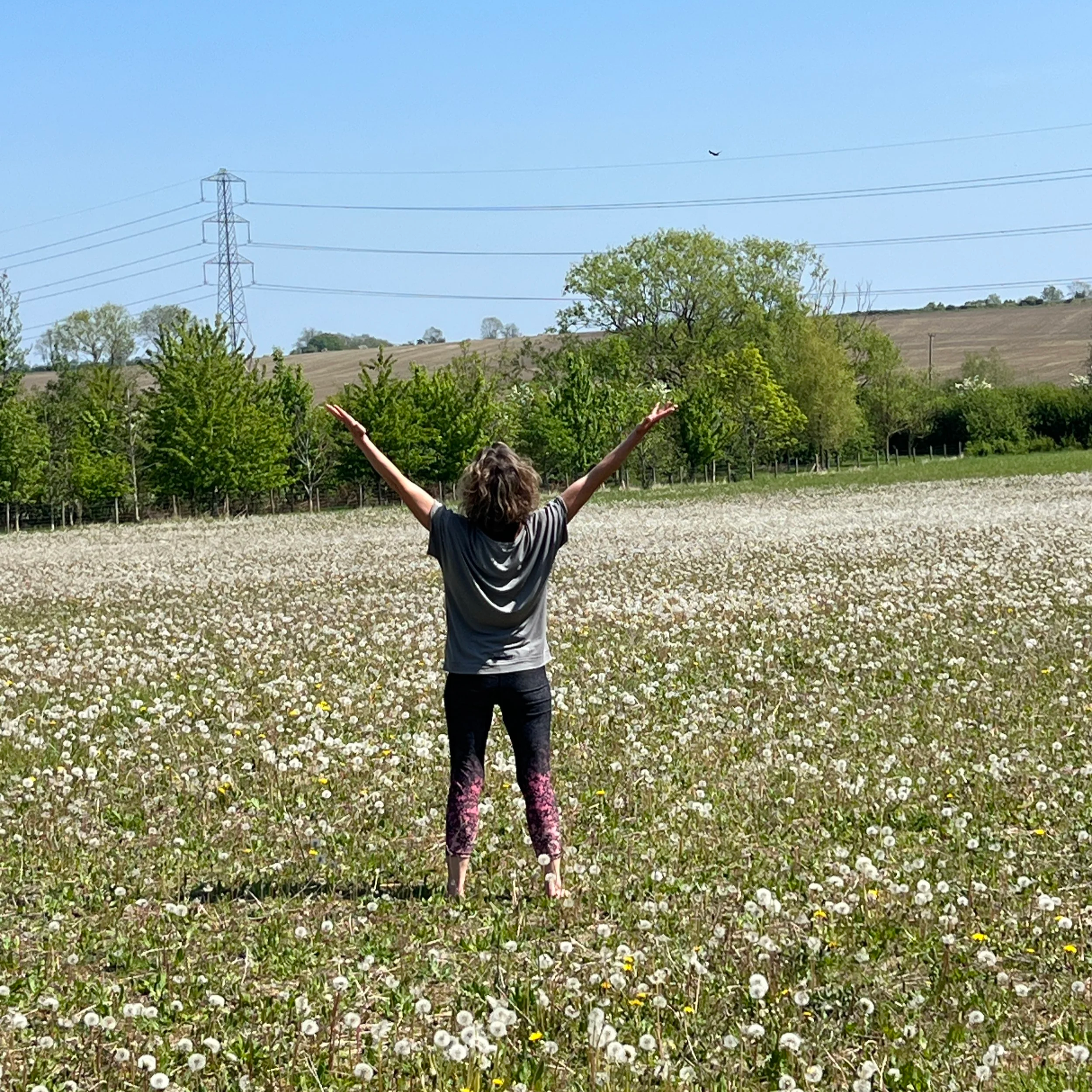 Summer Solstice Wylding Retreat