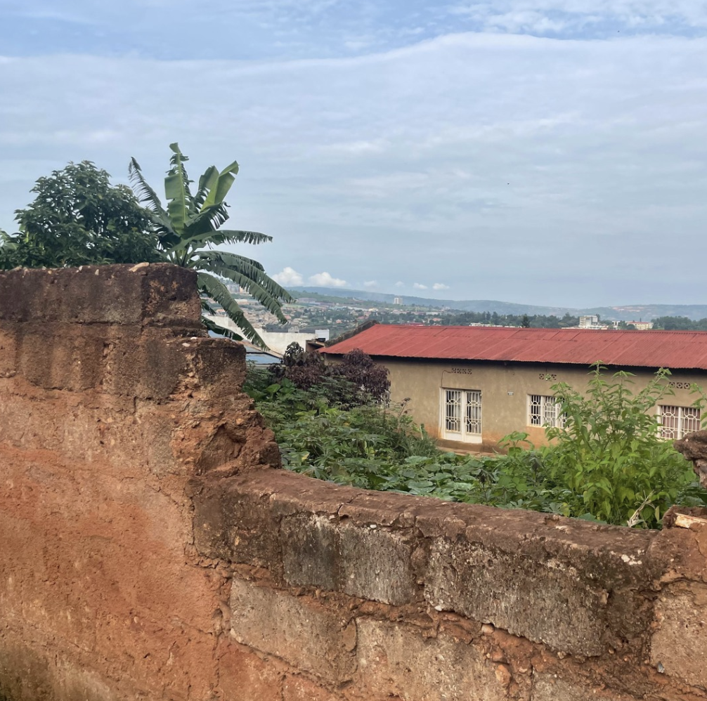 Rwanda, 30 Years After