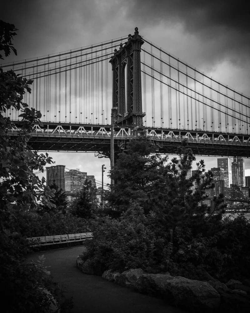 DUMBO MB (1 of 1).jpg