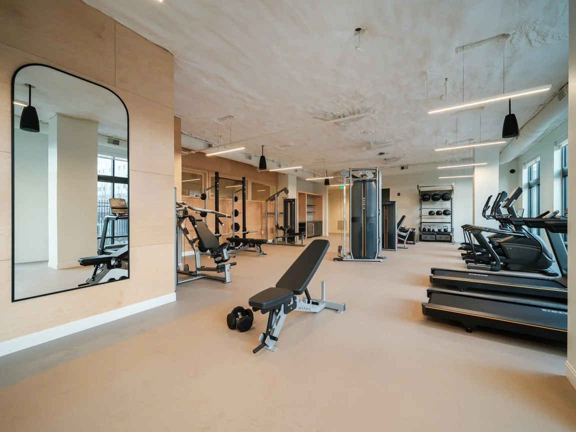 Empty modern gym with workout equipment like treadmills, weights, and benches, illuminated by natural light through large windows.