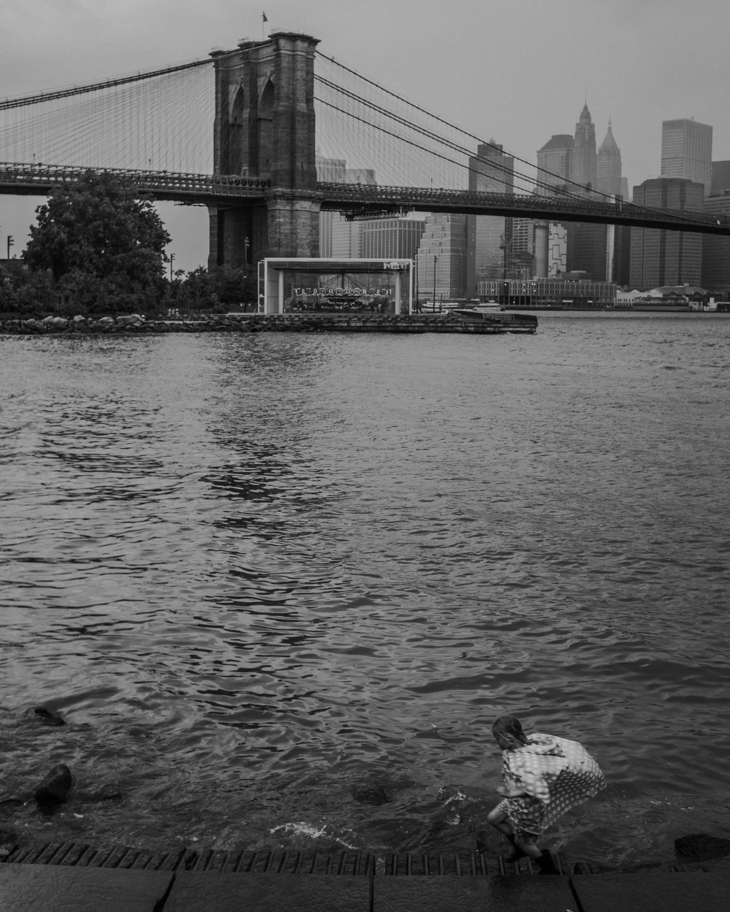 New Yorker (1 of 1).jpg