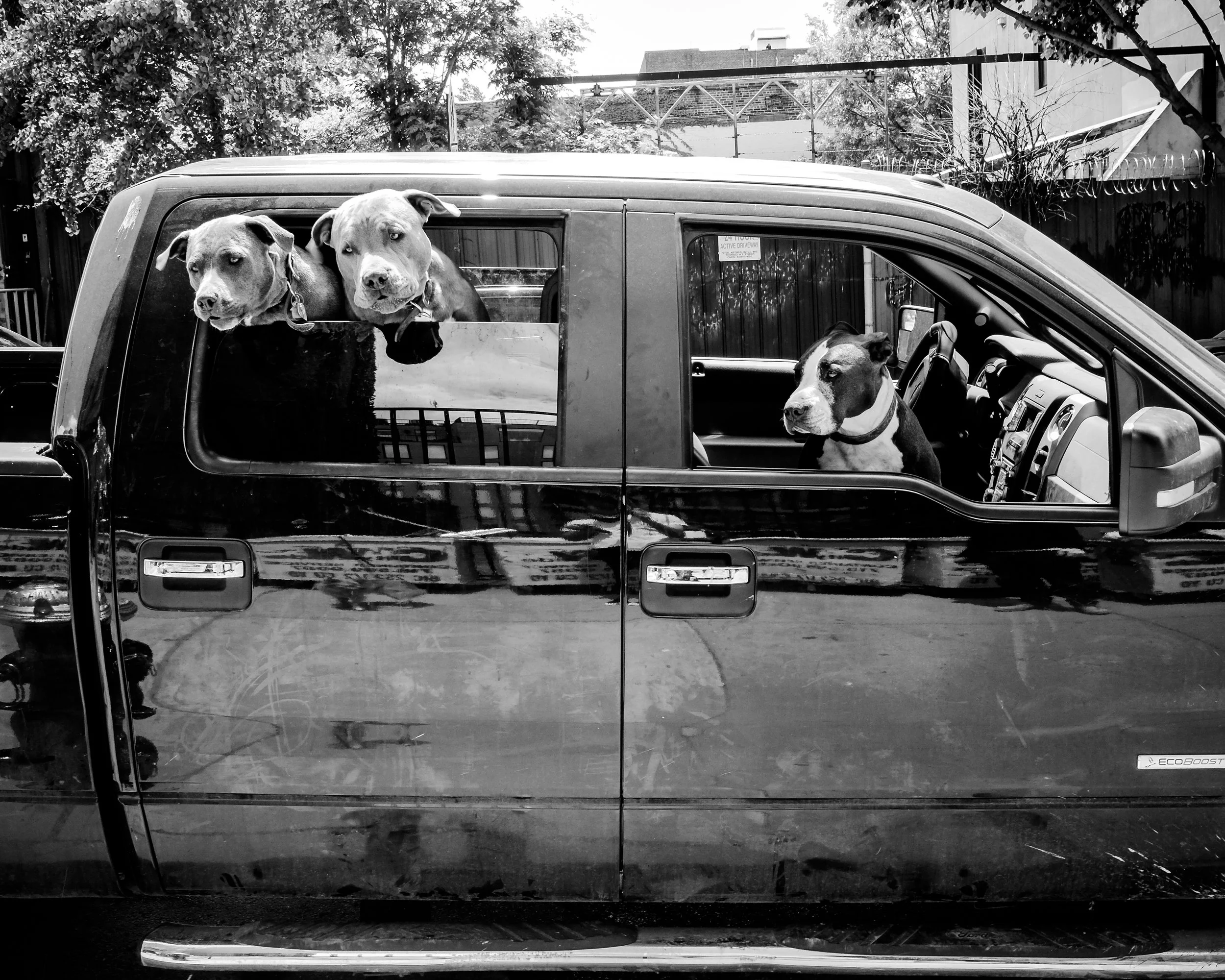 NYC Streets (21 of 47).jpg