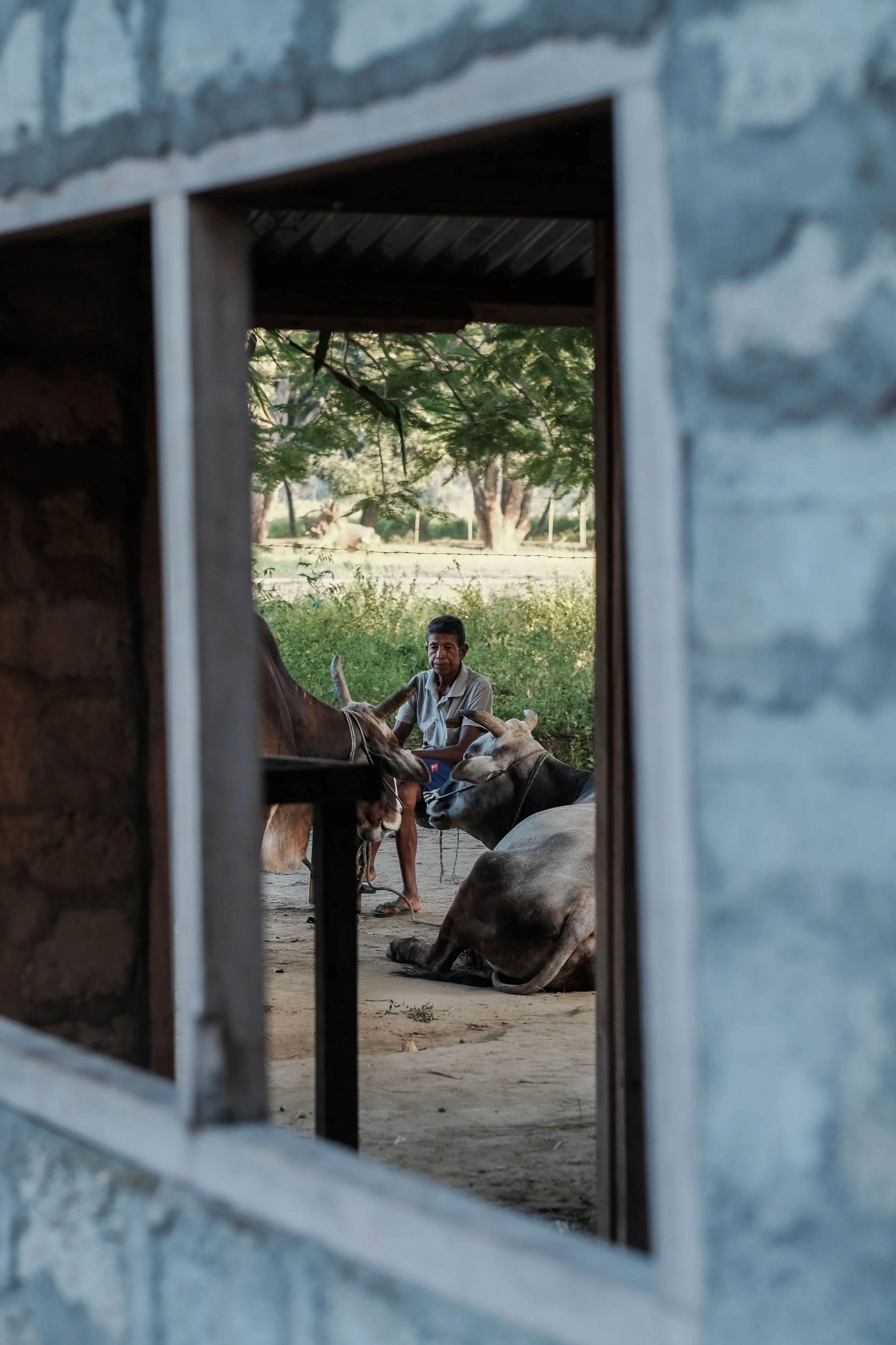 Nepal5 (10 of 13).jpg