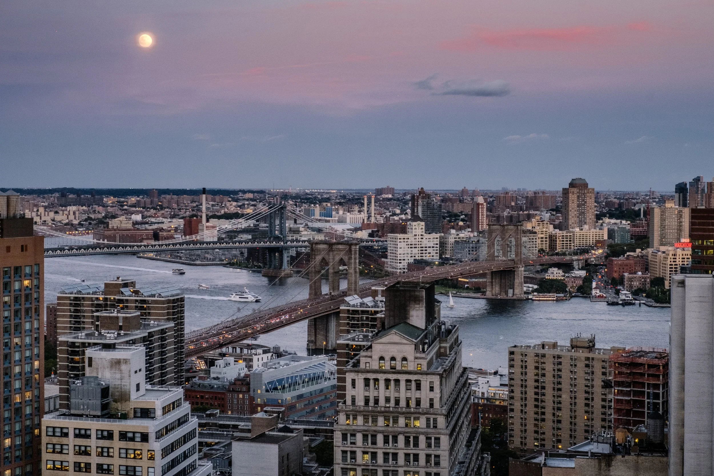 Brooklyn (1 of 1).jpg