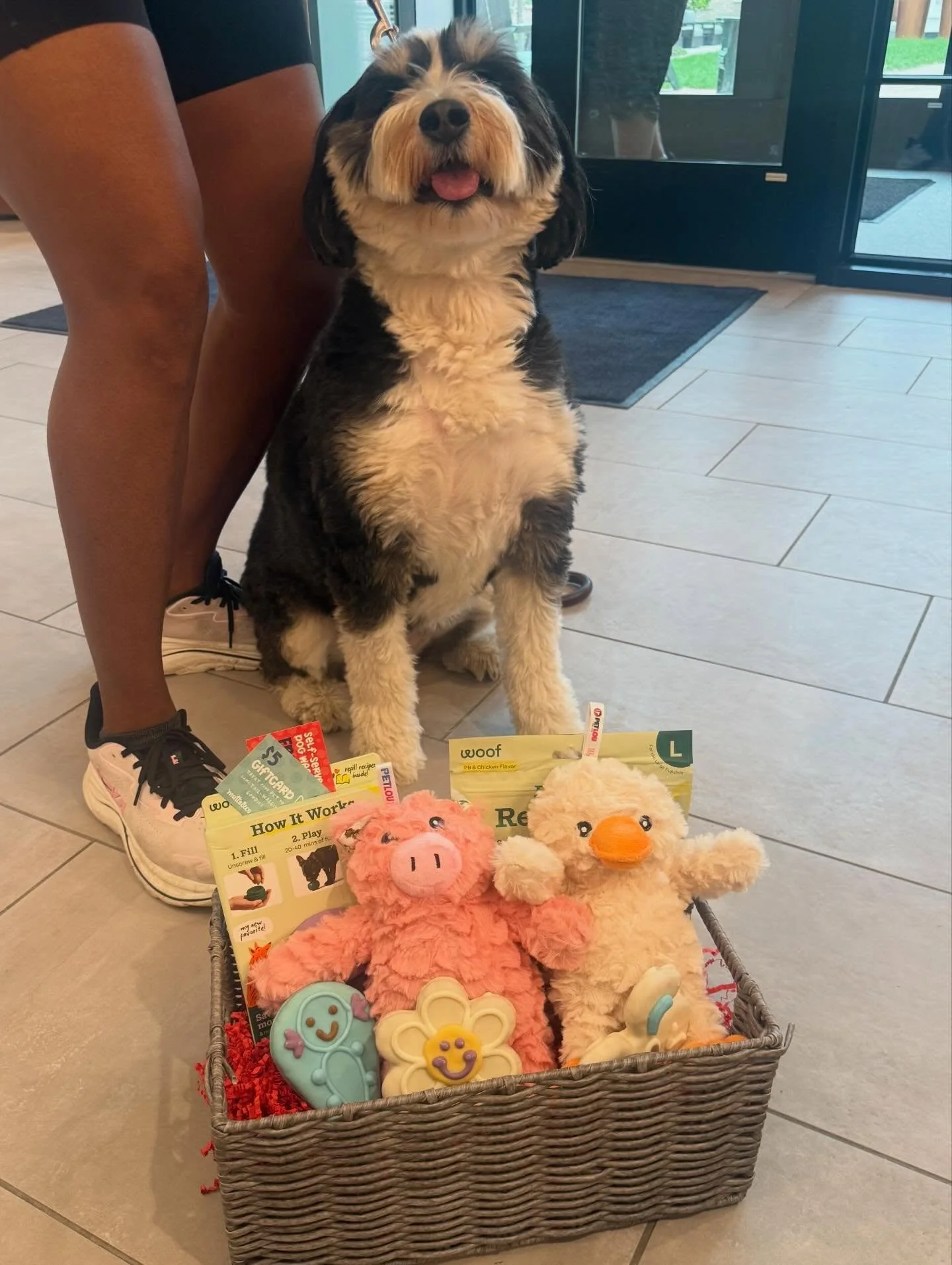 Congratulations to our April Pet of the Month winner, Biggie! Biggie is a fluffy ball of energy who loves stopping by the office to say hi! She is the sweetest girl!

#jaegersquare #petofthemonth #germanvillage