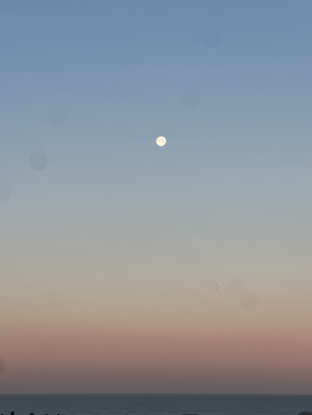 Screenshot 2026-02-06 at 22.14.53.png