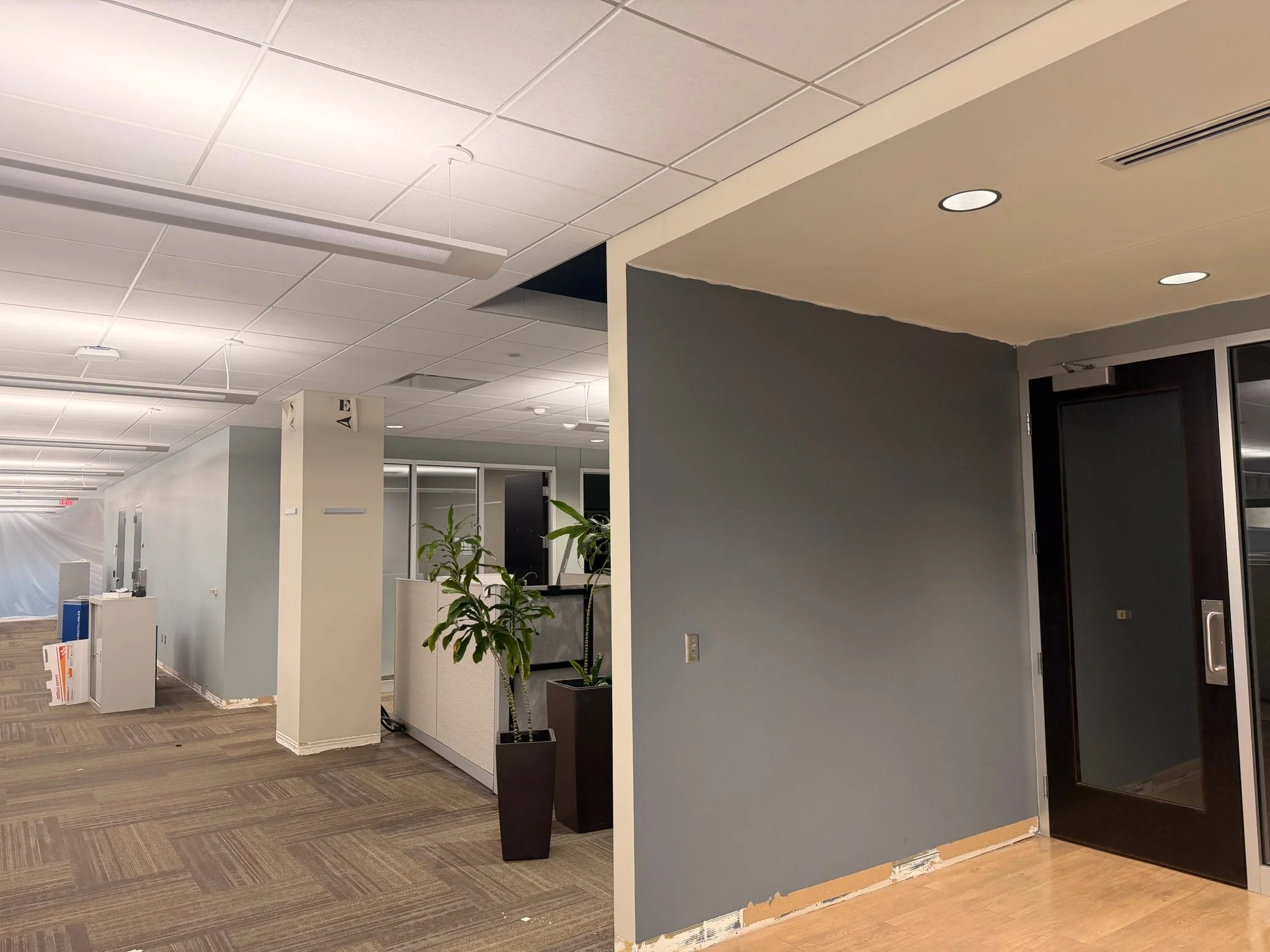 An office interior with a ceiling featuring white acoustic tiles, recessed lighting, and a suspended white light fixture. The walls are painted in neutral colors, with a gray accent wall and light-colored trim. There are several potted plants and var