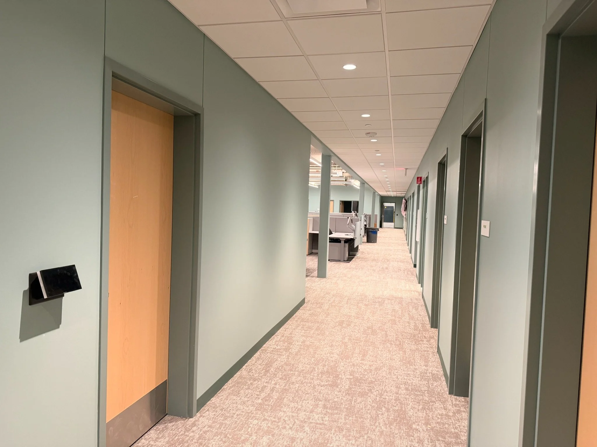 Office corridor with green painted walls and wood doors