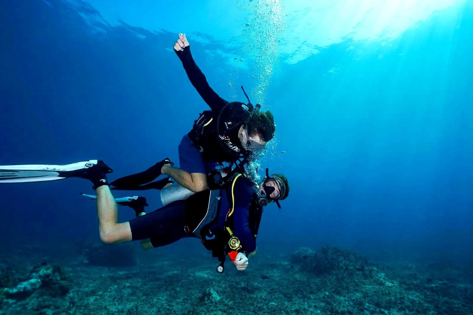 Underwater scene with sharks swimming near a coral reef and a person diving.