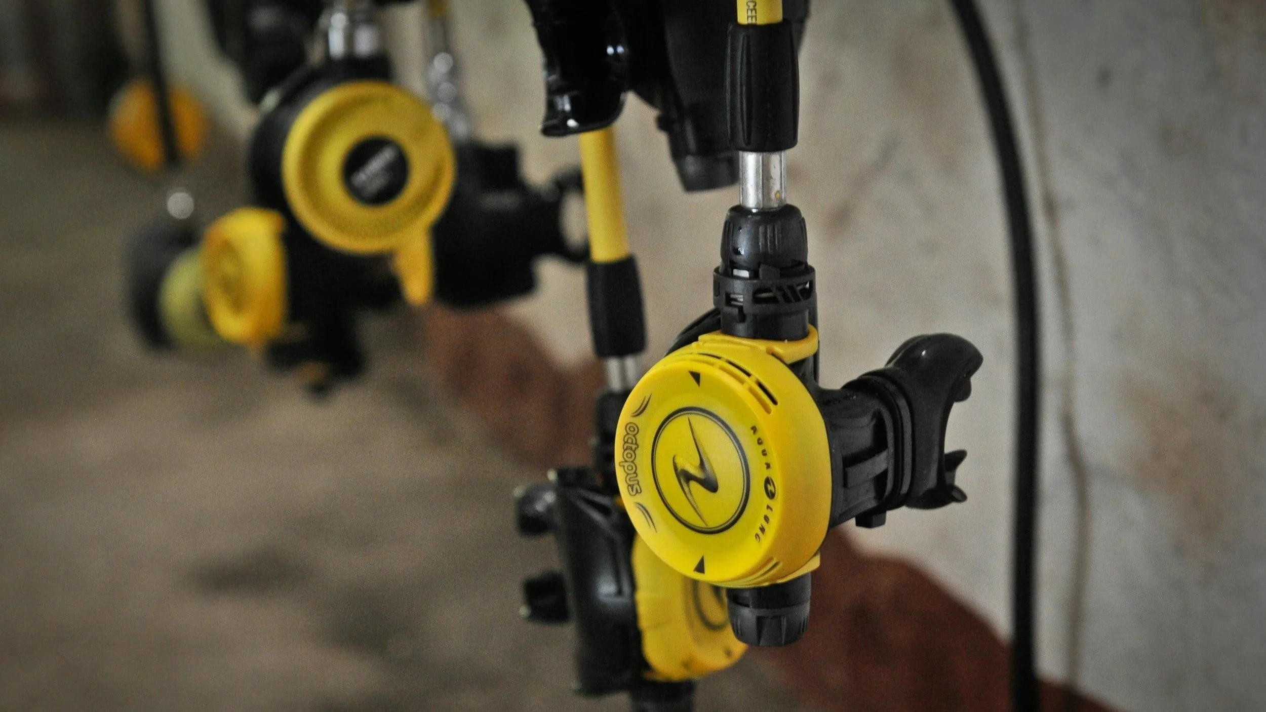 Close-up of diving equipment, including yellow and black regulators and hoses hanging against a concrete wall.