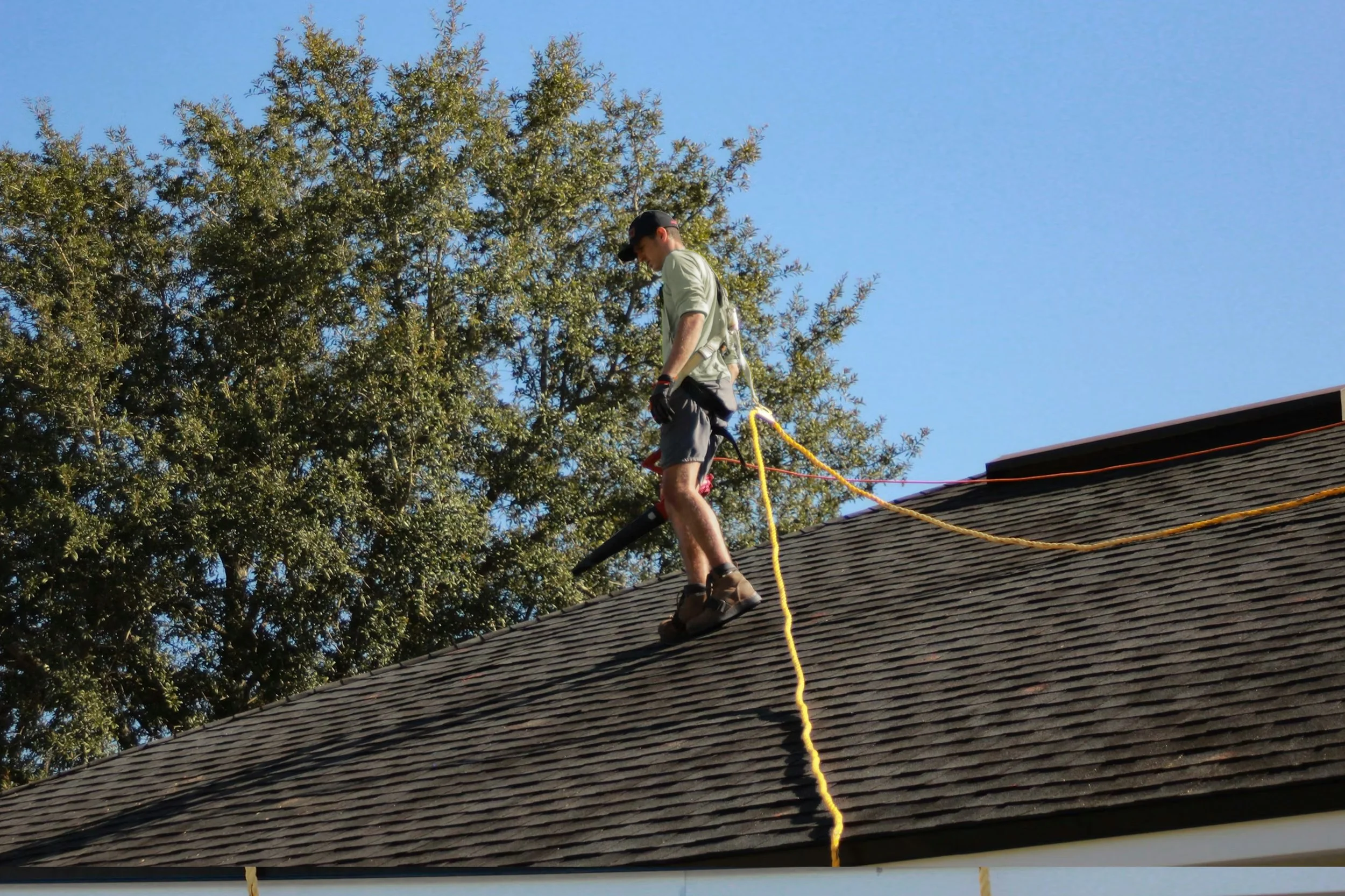 A person on a roof using a leaf blower, secured with a harness and yellow safety rope, with a large tree and a clear blue sky in the background.