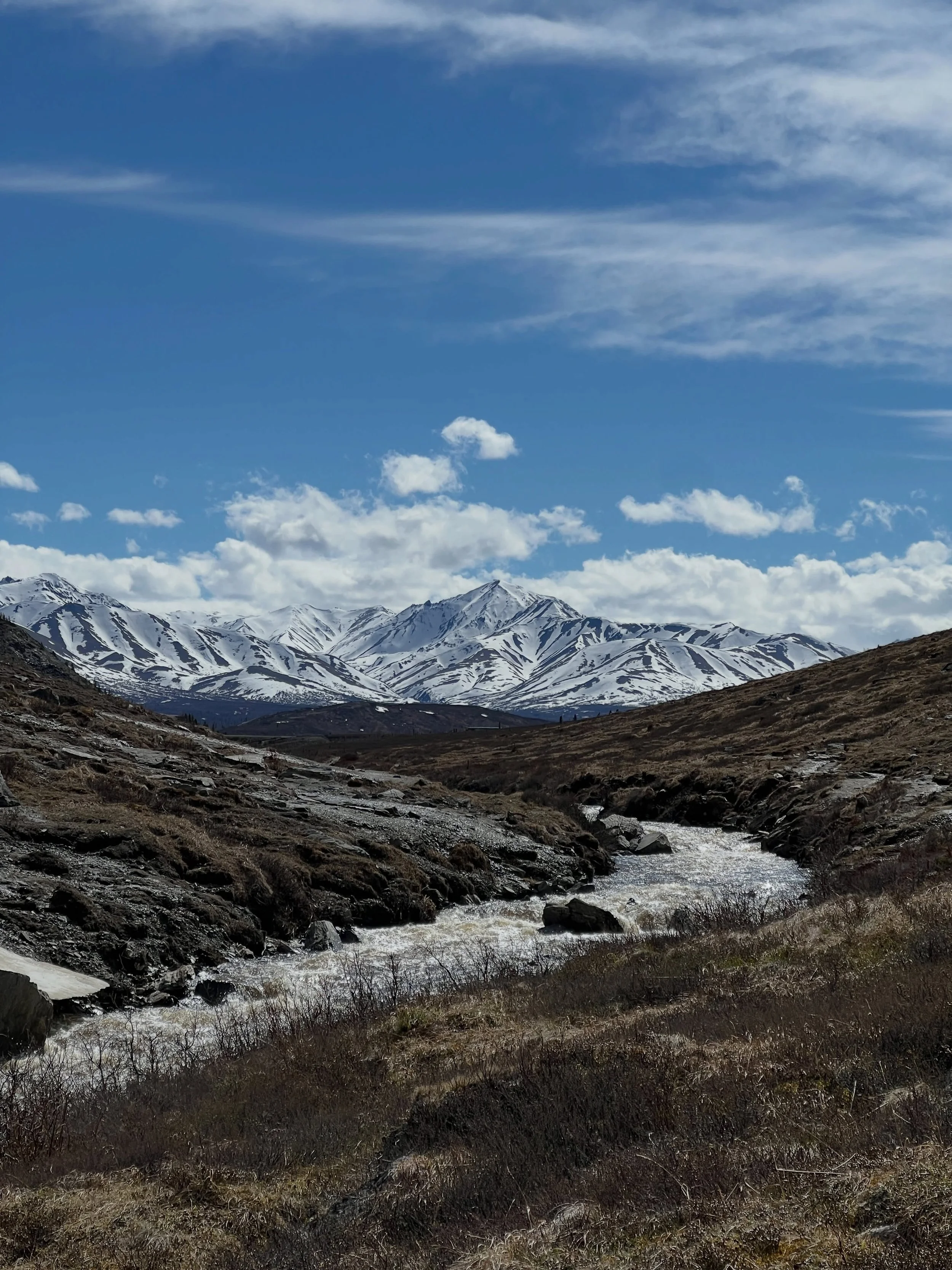 Head over heels for Alaska 🏔️ Never have I ever been so sad to leave a new place. 

If you ever get the opportunity to go to the 49th state, don&rsquo;t hesitate! Grateful to my parents who made this trip of a lifetime happen. ❤️ From all the gorgeo